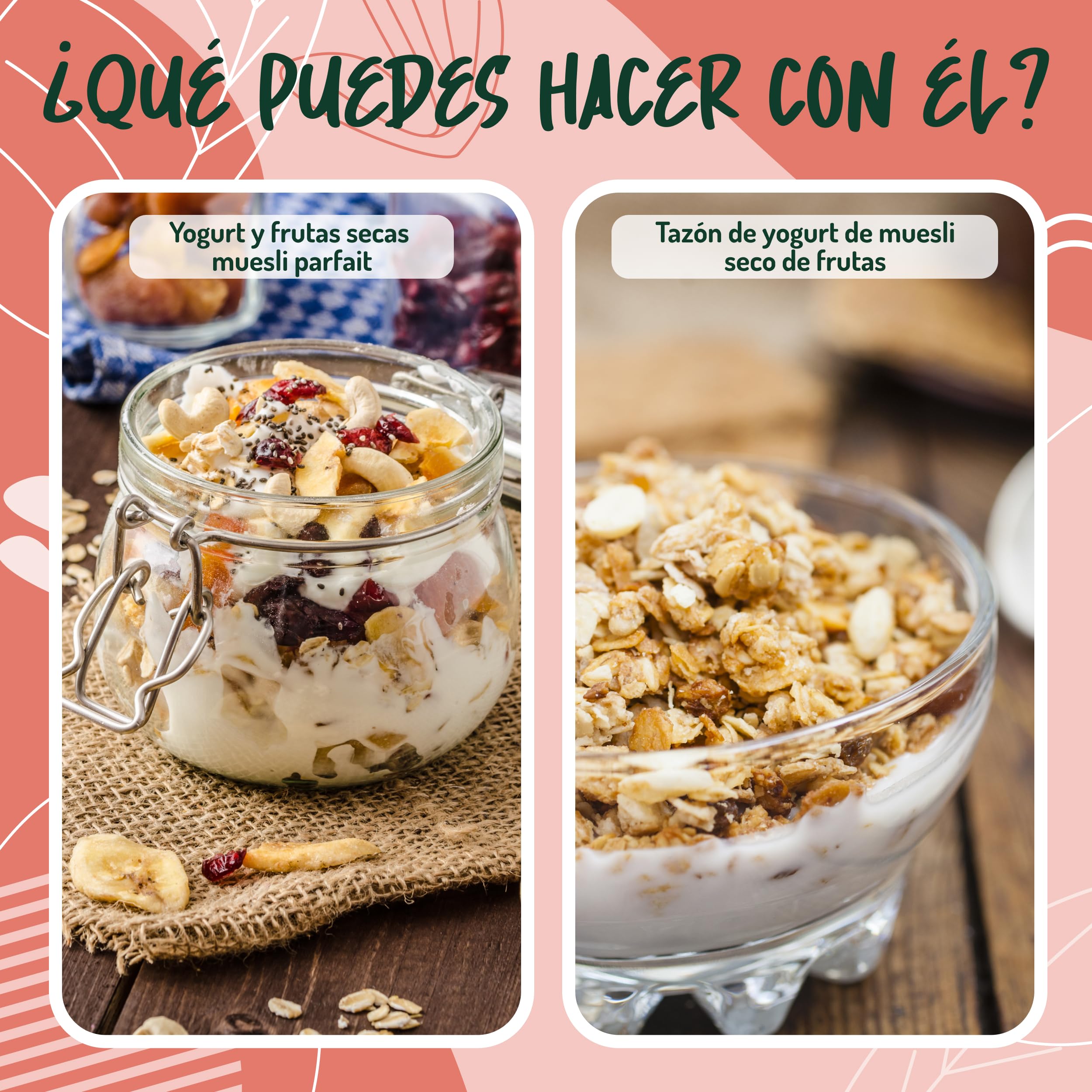 Muesli de Frutos Secos sin Azucar - 325g. Muesli con Copos de Avena Copos de Centeno y Coco con Granos de Avellana Semillas de Calabaza Anacardos Granos de Cacao en Trozos Almendras y Pecanas.