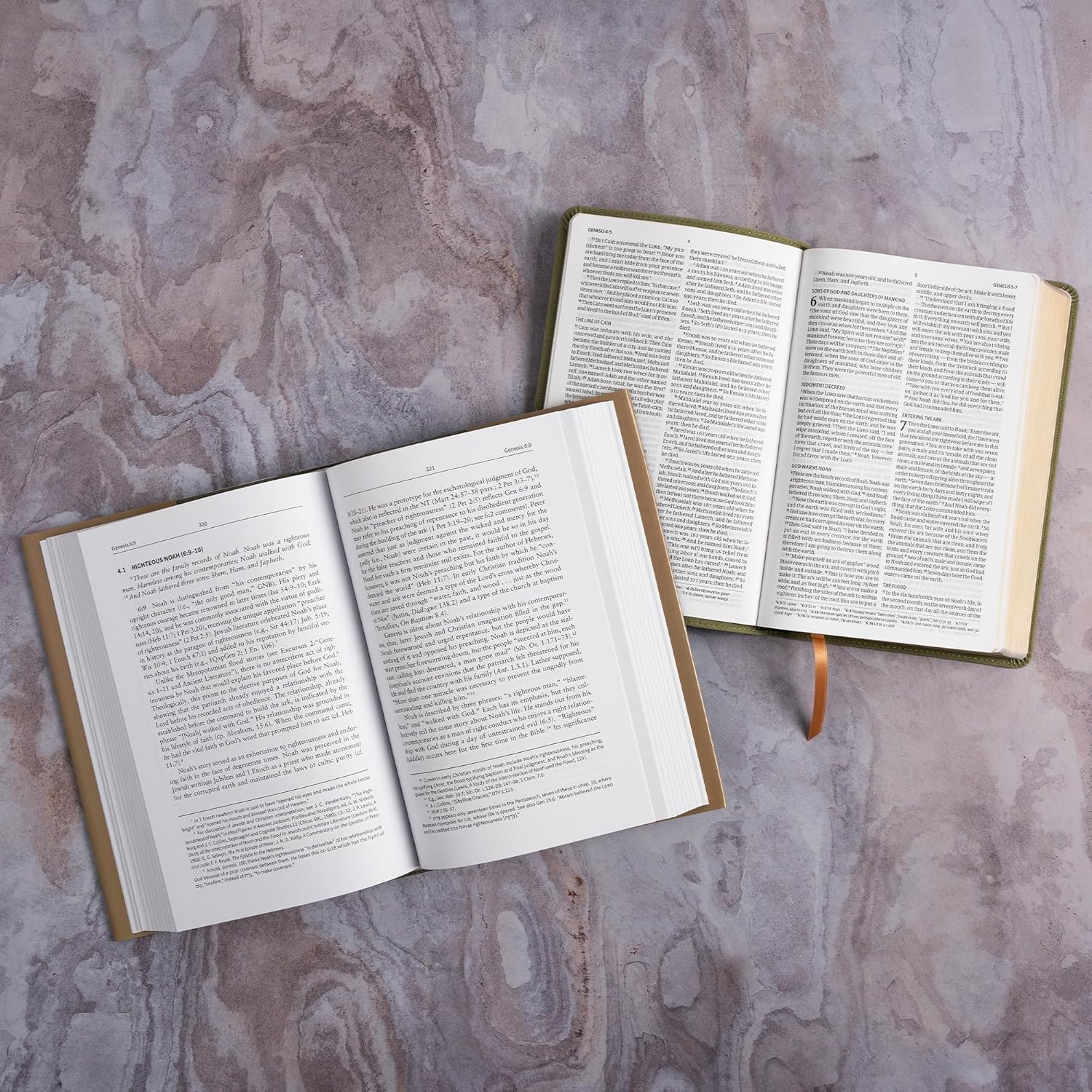 Genesis 1-11:26: The Christian Standard Commentary - Image 10