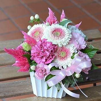 Amazon お洒落な八重咲きピンク系ガーベラ 贈り物で幸せの笑顔が咲きます フラワー ピンク系 ガーベラ プレゼント お祝 記念日 お誕生日 結婚記念日 開店祝 発表会 フラワーアレンジメント オンライン通販