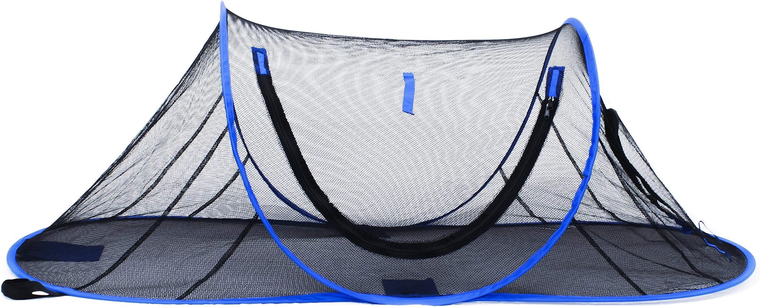 Outdoor Feline Funhouse