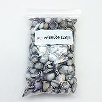Vista 4 de PEPPERLONELY Pequeñas conchas de almeja violeta, 8 oz aprox. 1/2 pulgada ~ 3/4 pulgadas