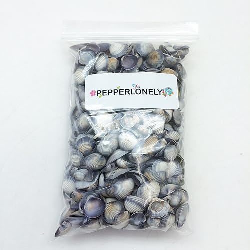 Miniatura 4 de PEPPERLONELY Pequeñas conchas de almeja violeta, 8 oz aprox. 12 pulgada  34 pulgadas