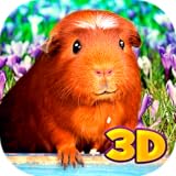 Amazing 3D Games