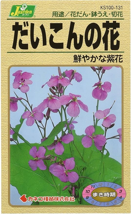 Amazon カネコ種苗 園芸 種 Ks100シリーズ だいこんの花 鮮やかな紫花 草花100 131 苗棚