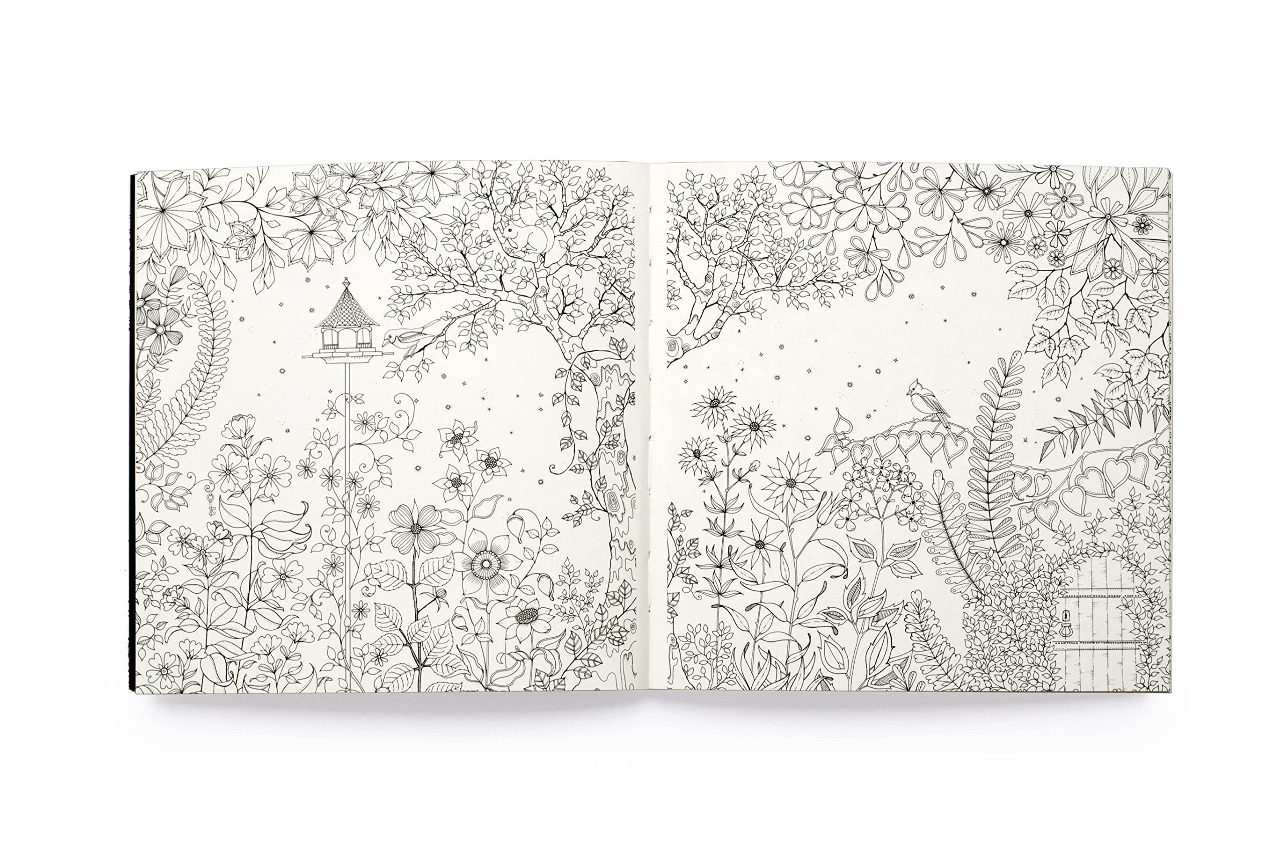 Miniature Secret Garden /anglais: A Pocket-Sized Coloring Book for Adults