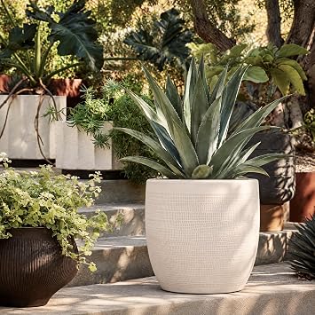 Creative Co-Op Large Matte White Embossed Stoneware Planter