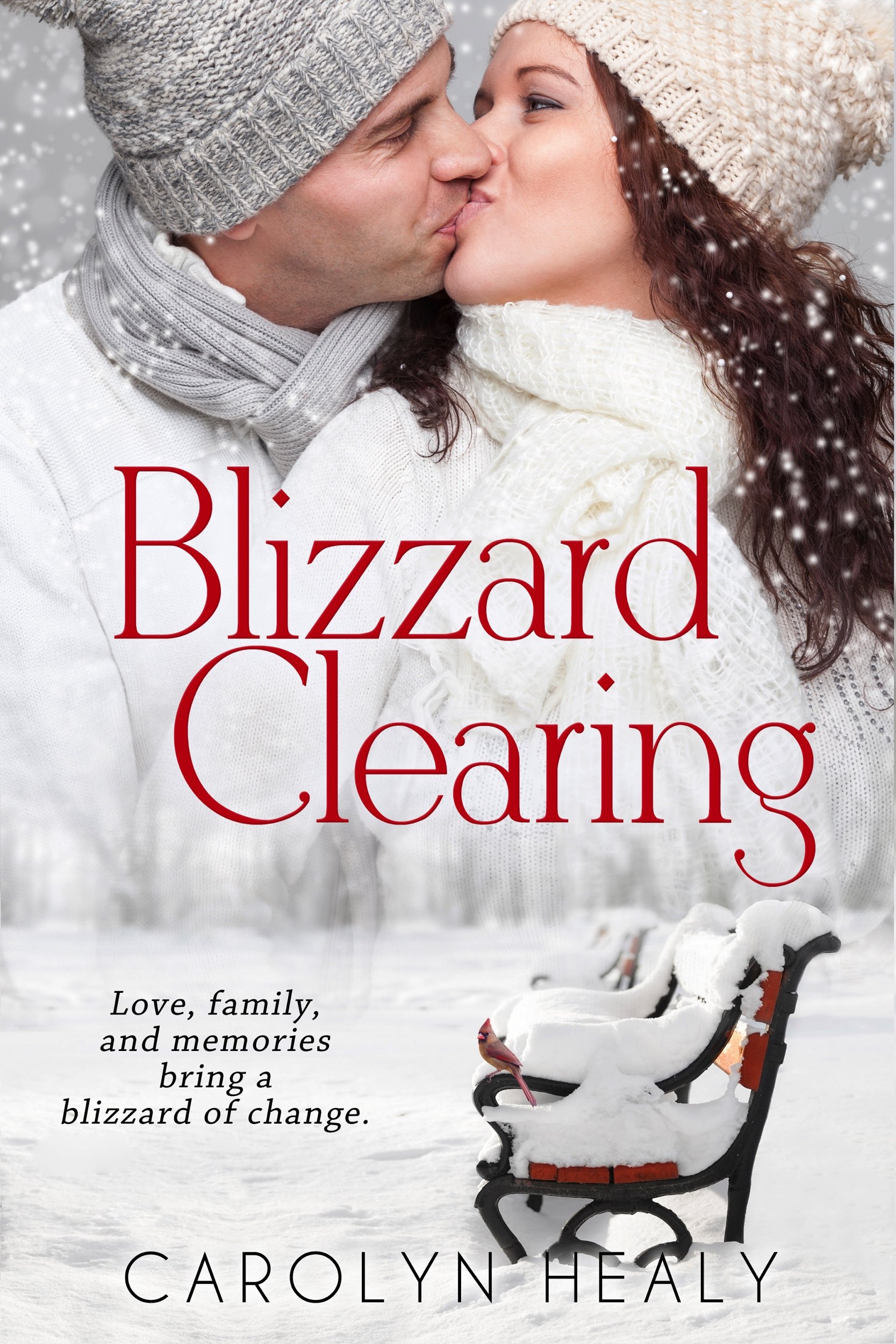 Blizzard Clearing