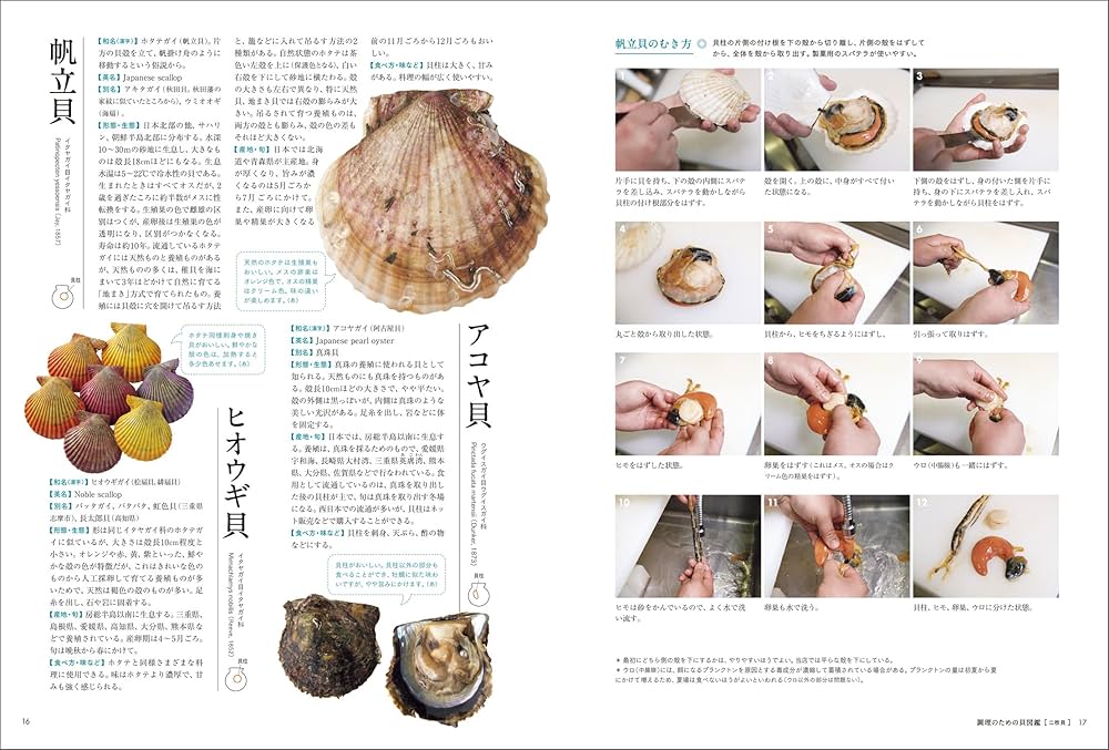 専門魚貝料理大辞典 専門魚貝料理大辞典 魚貝 (FOOD DICTIONARY) |本 | 通販 | Amazon