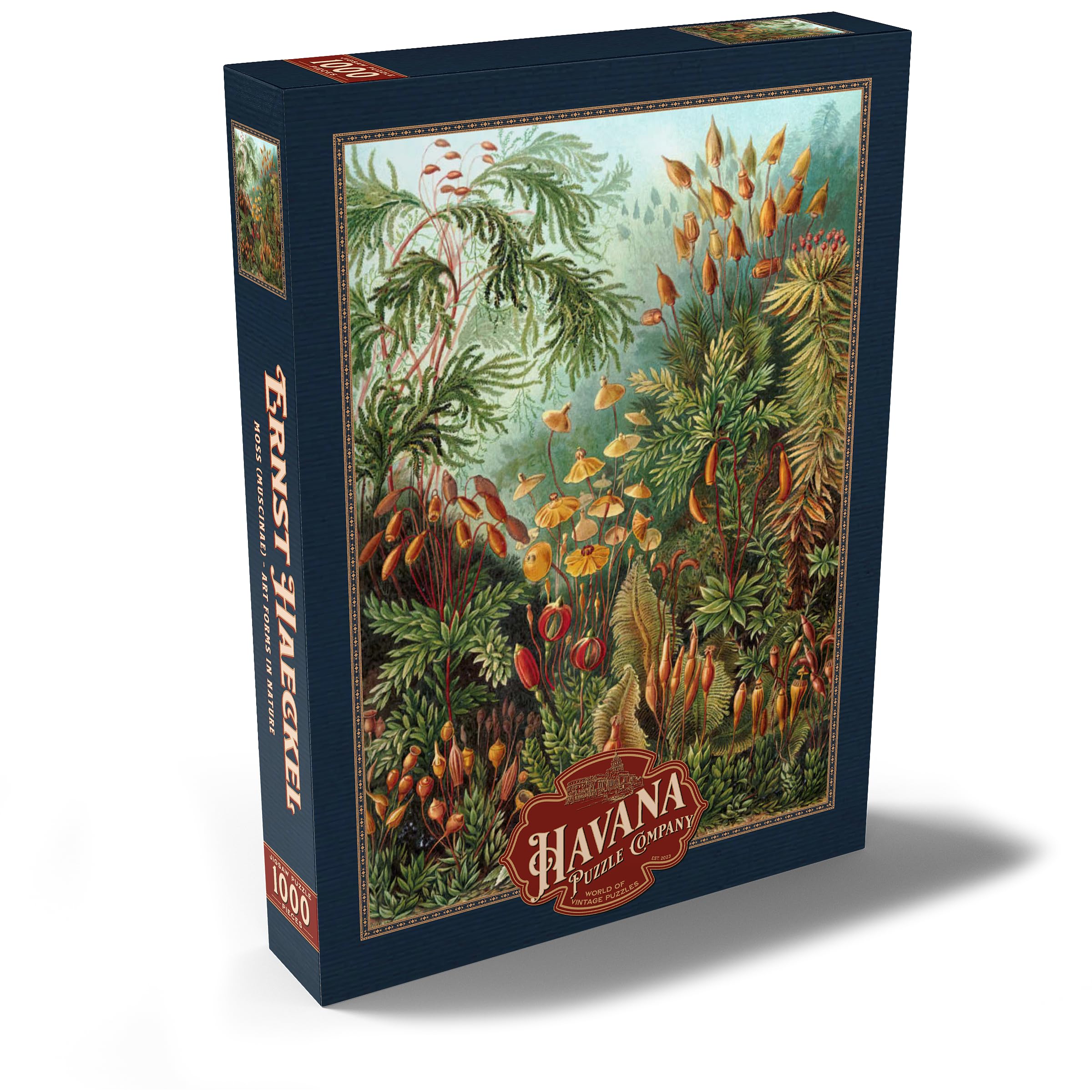 Moss (Muscinae), Art Forms In Nature, Vintage Art Poster, Ernst Haeckel, Premium 1000 pieces Puzzle - Image 2