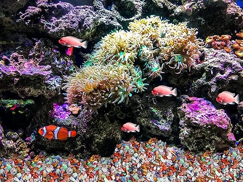 Vista 17 de ZHIYUXI Piedras de cristal de cornalina para pecera, grava, jarrón de relleno, cristales triturados, cristales curativos pulidos, piedra de cuarzo K