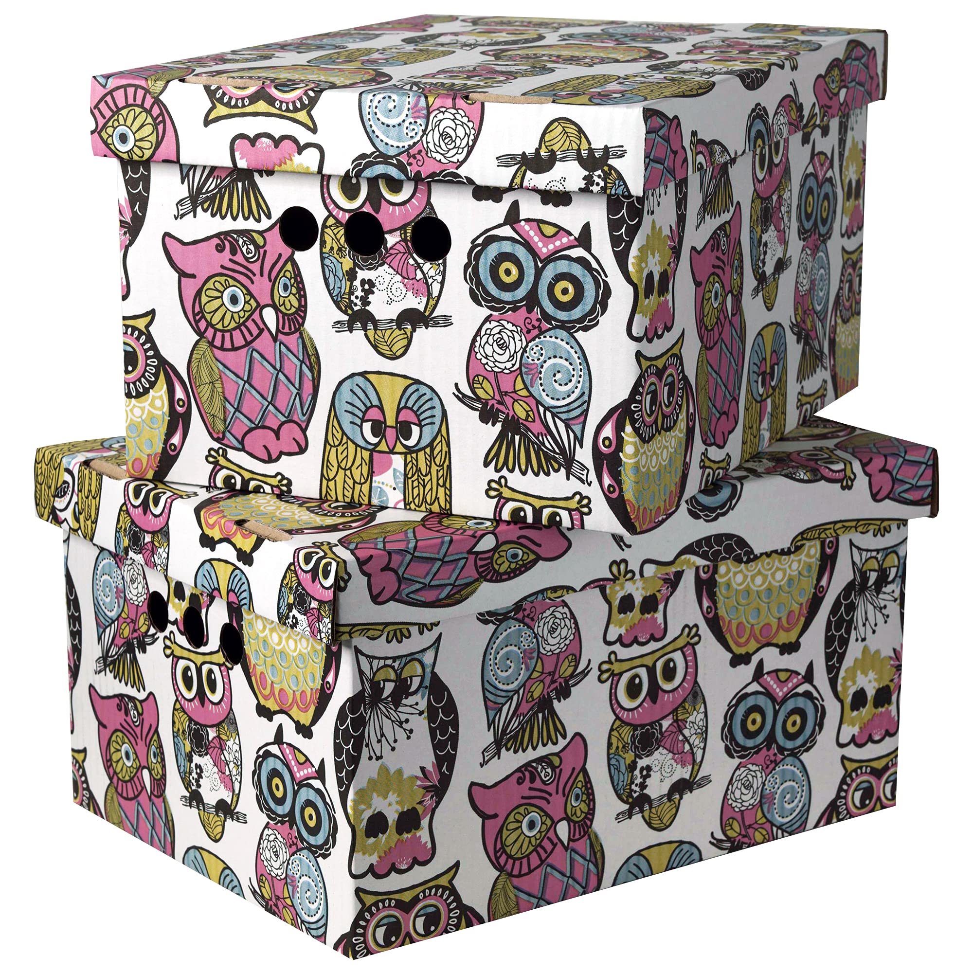SOFTILLO Cardboard Storage Boxes with Lid Decorative Wardrobe, Closet, Home & Office Organiser with Handle Flat-Packed, Stackable File Box Gift for Adults & Kids Set of 2 Large Owls — image 1