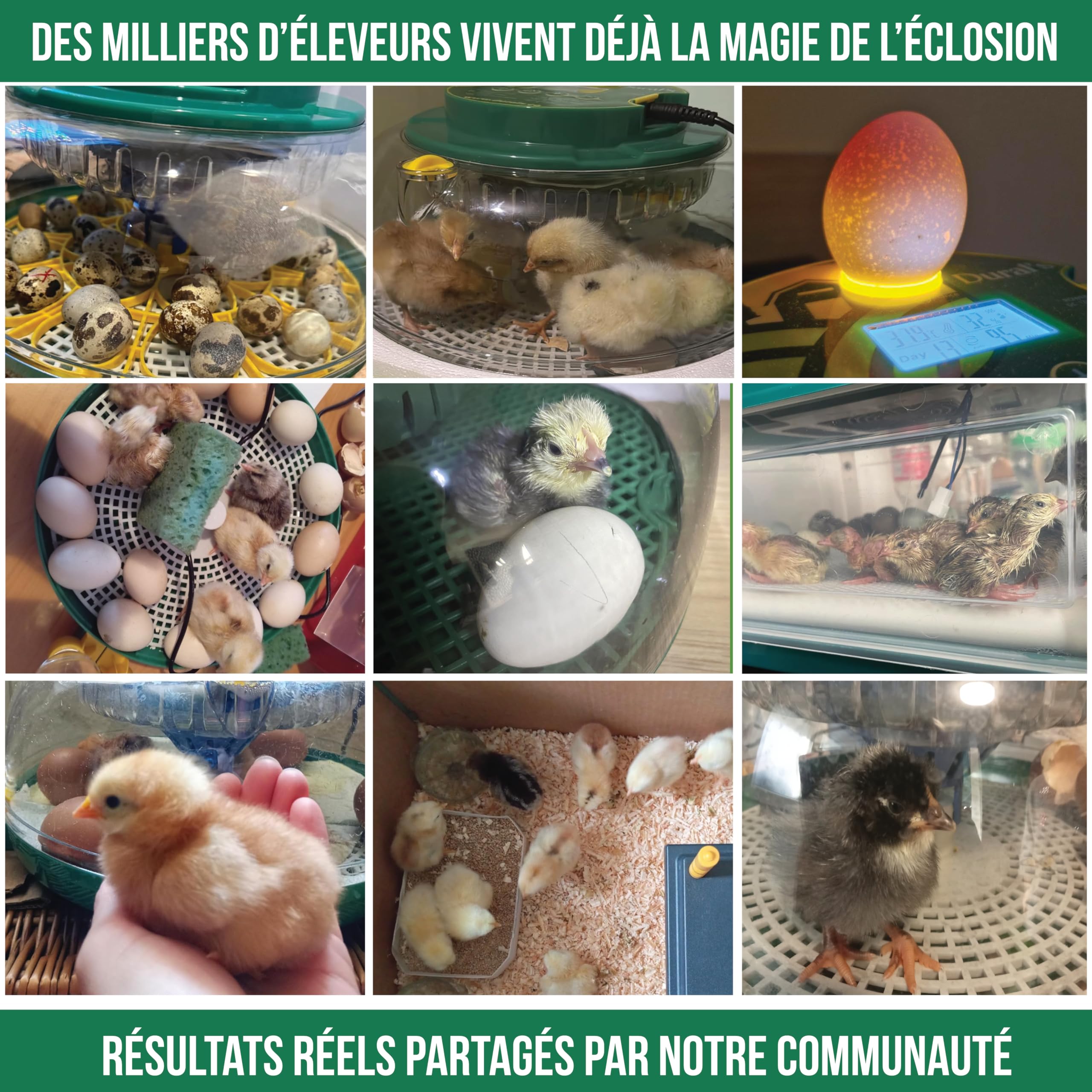 Dural's DX5® | Couveuse œuf automatique | Professionnel & Haute Précison | Certifiée CE | Contrôle de la Température & Humidité | Oeufs de Poule, Caille, Canard | Retournement Œuf automatique (DX5)