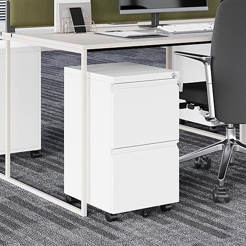 Miniatura 2 de Fesbos Archivador vertical de 2 cajones  Armario de llenado móvil con cerradura para archivos legalesde letras  Archivador de almacenamiento de