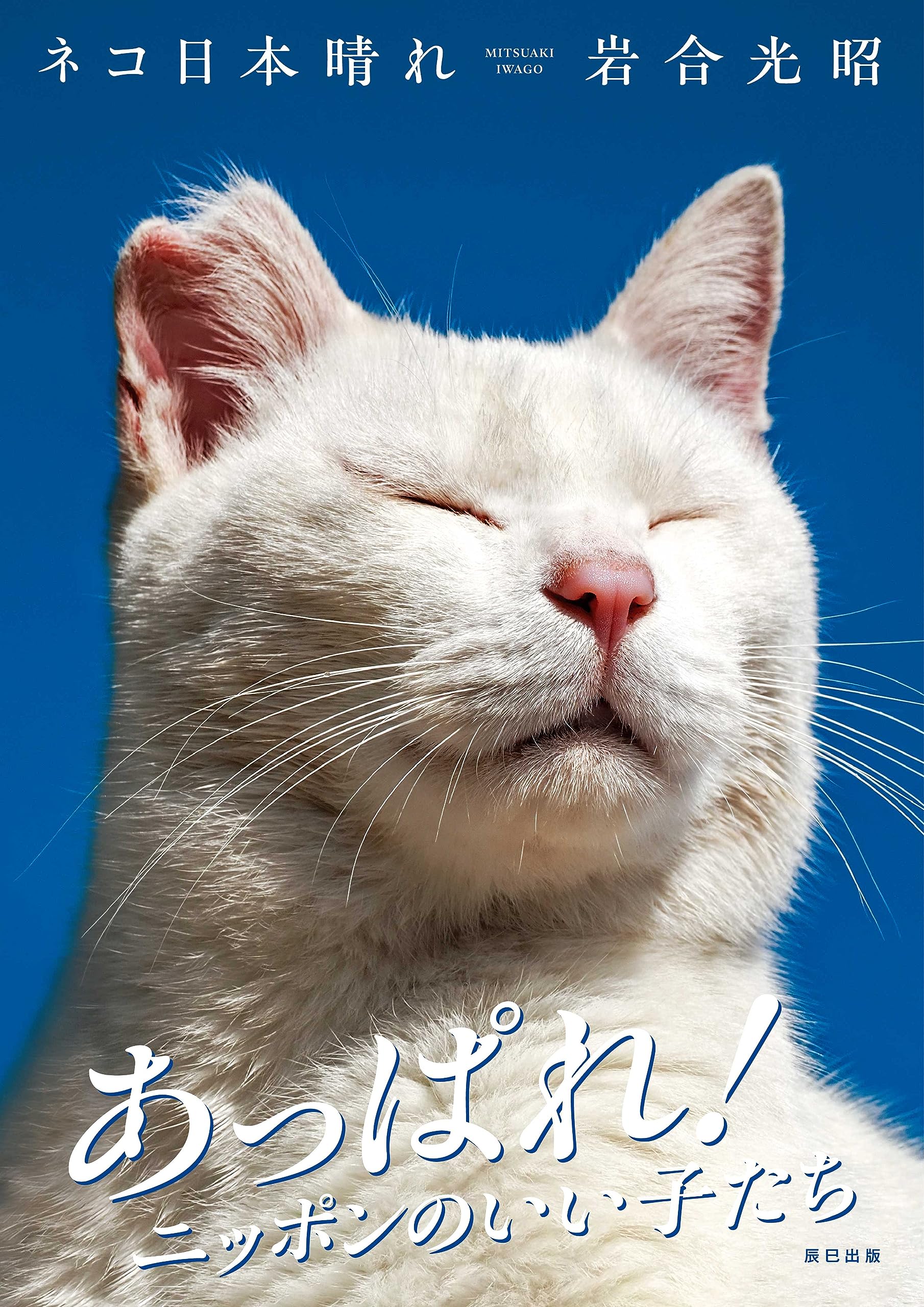 ネコ日本晴れ | 岩合 光昭 |本 | 通販 | Amazon