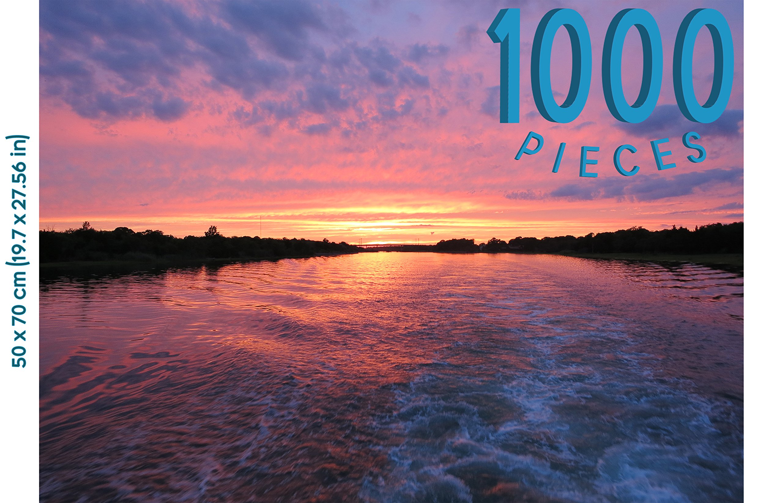 Amazon.com: 1000 Piece Jigsaw Puzzle | Great Indoor Activity