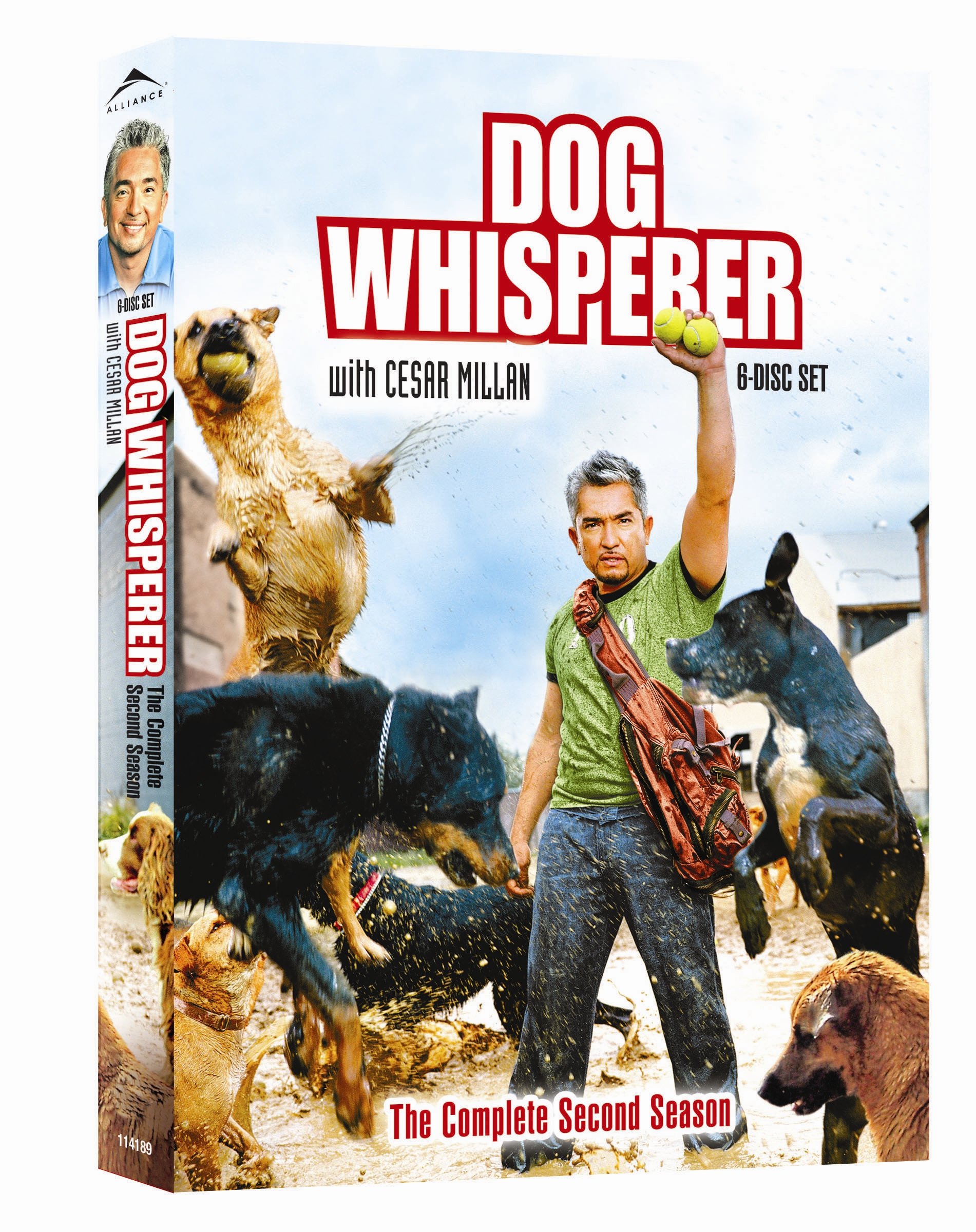 Dog Whisperer Season 2 [DVD]