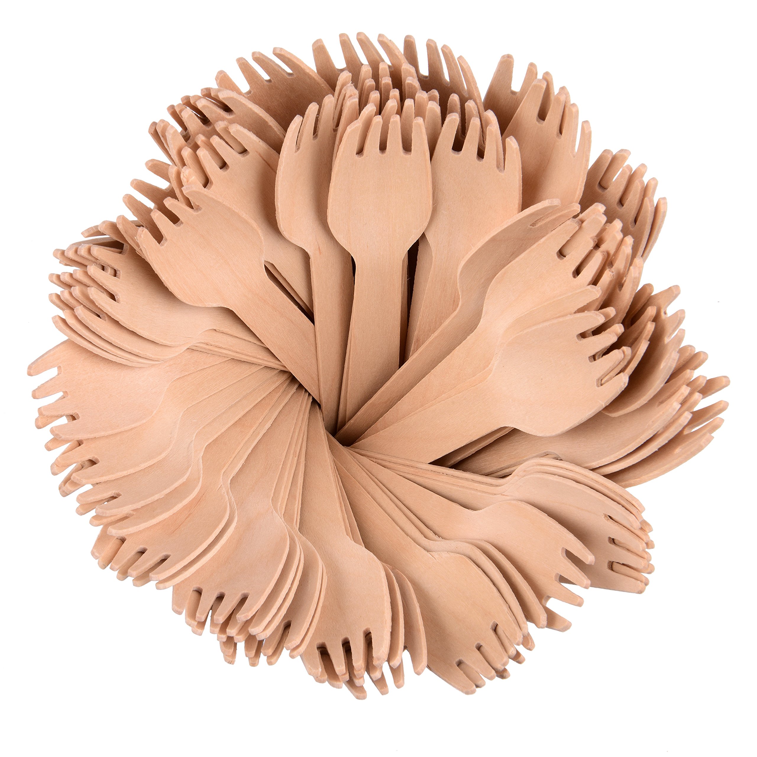 We Can Source It Ltd - Wooden Disposable Forks 6" - Eco-Friendly 100% Natural Biodegradable Fully Compostable Forks - Great for Parties BBQ Picnics and Events - 100 Pack