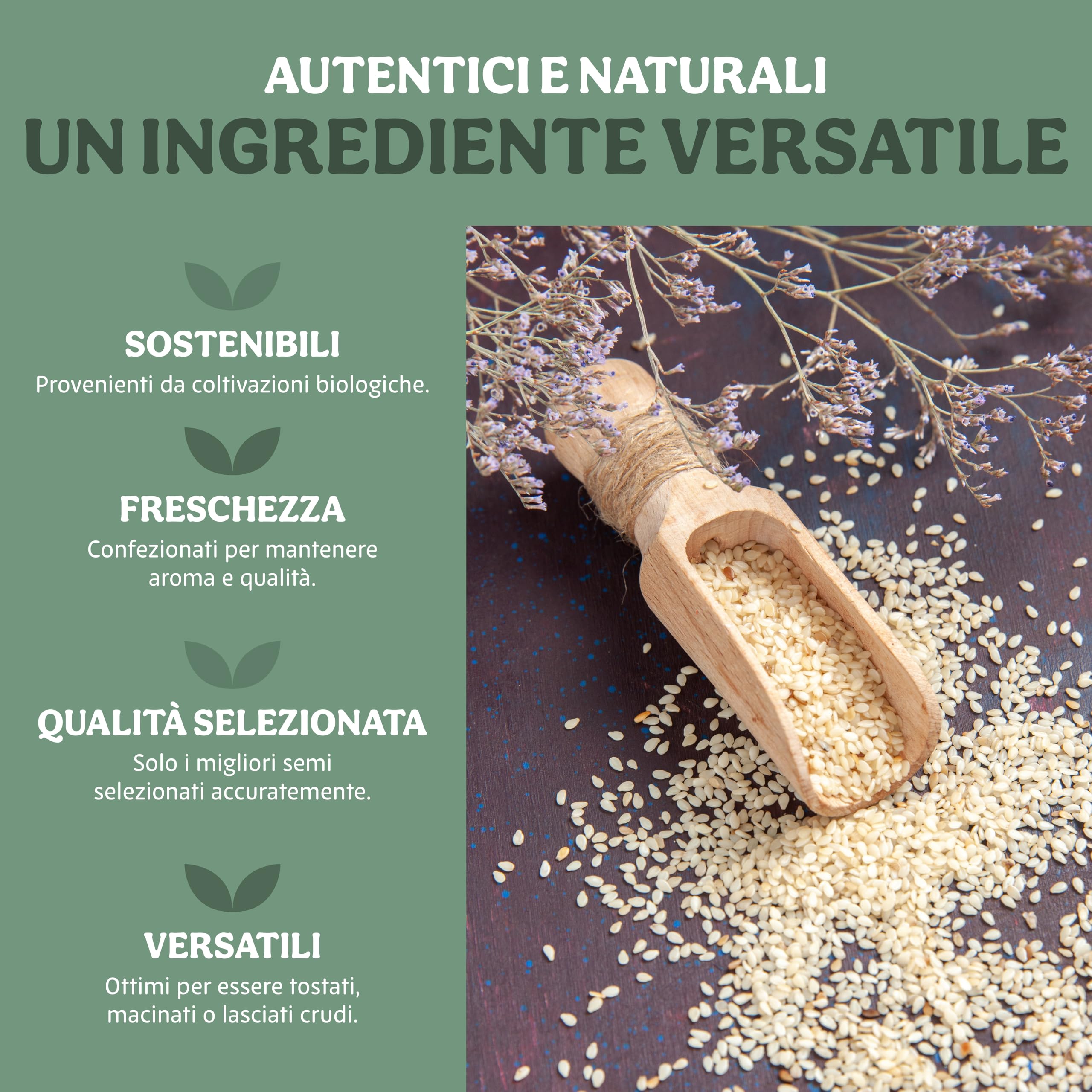 Probios Semi di Sesamo Biologici - Semi di Sesamo Premium per Cucinare, Cuocere al Forno e Guarnire - Senza Glutine, Naturale e Versatile - Confezione da 5 kg