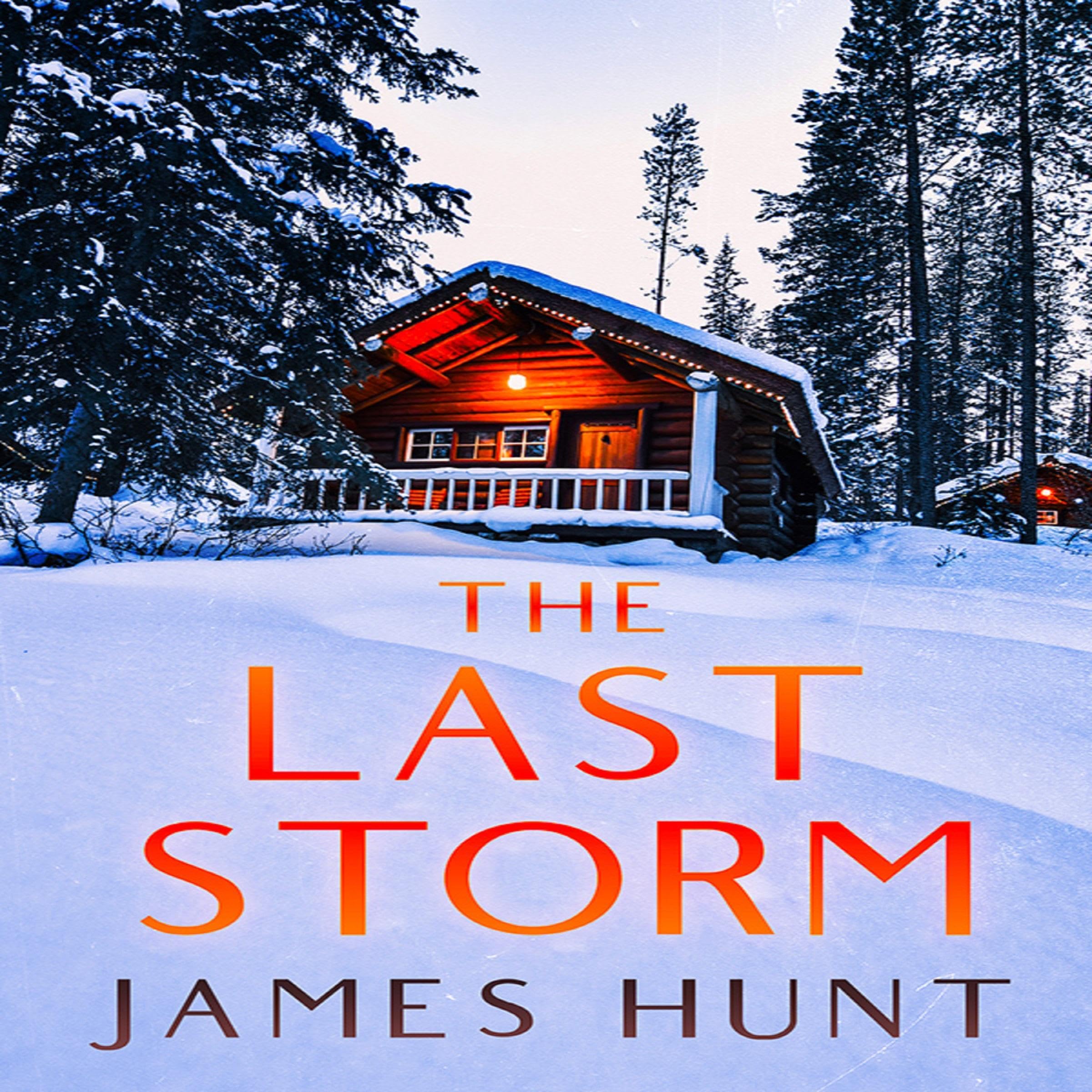 Cover art for The Last Storm