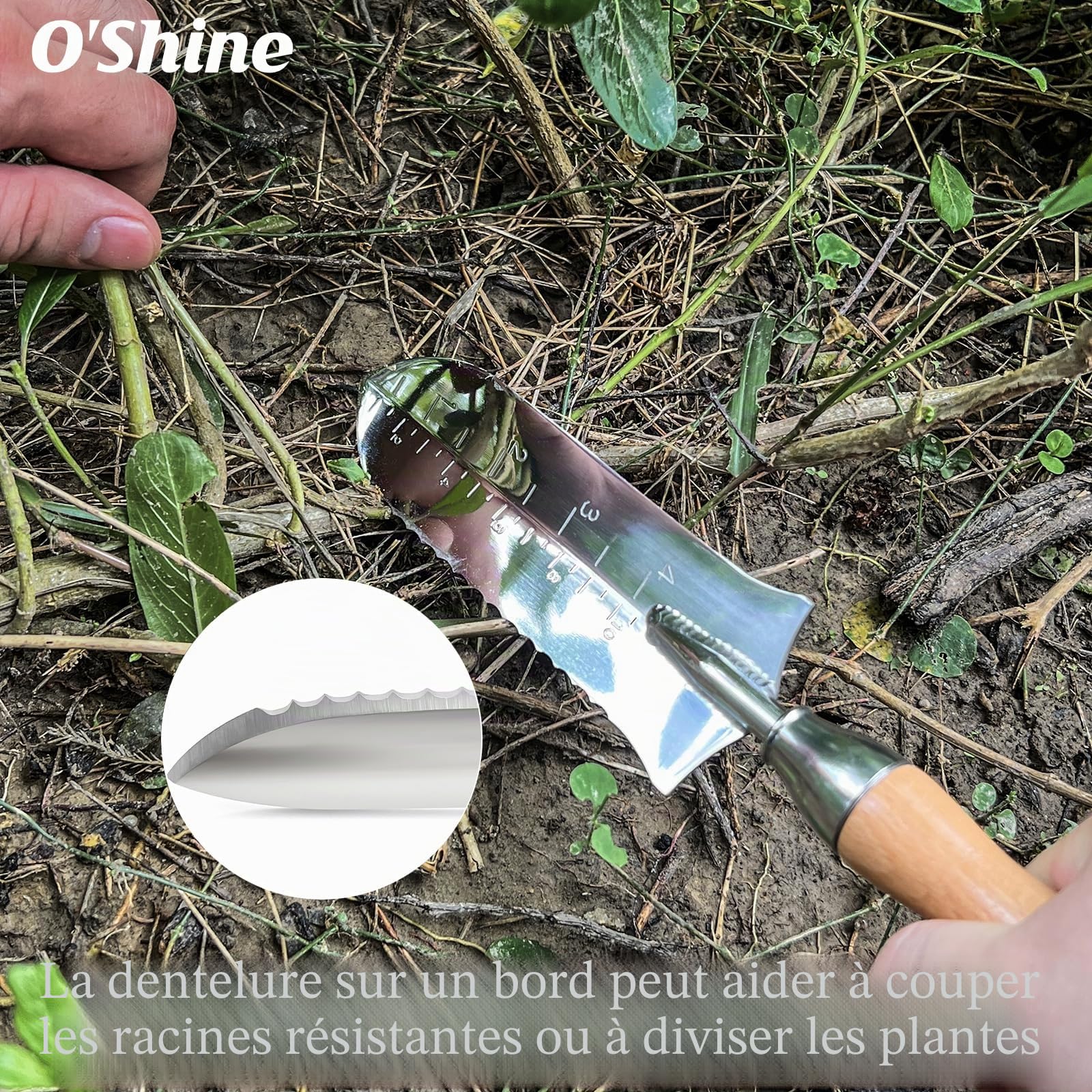 O'Shine Couteau de jardin japonais Hori Hori de 14 cm, petit couteau de sol en acier inoxydable pour planter et transplanter, outil de jardinage de qualité supérieure avec gaine, joli cadeau de jardin