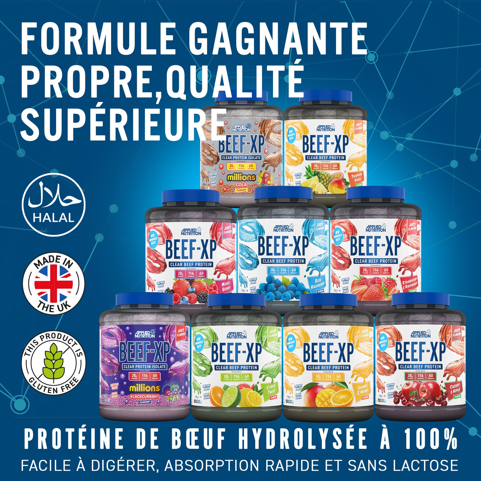 Applied Nutrition Bœuf XP Isolat de Protéines de Bœuf Hydrolysées, Poudre de Protéines de Bœuf, Boisson Protéinée sans Produits Laitiers, sans Lactose, sans Sucre, 60 Portions (1.8Kg, Mixed Berry)