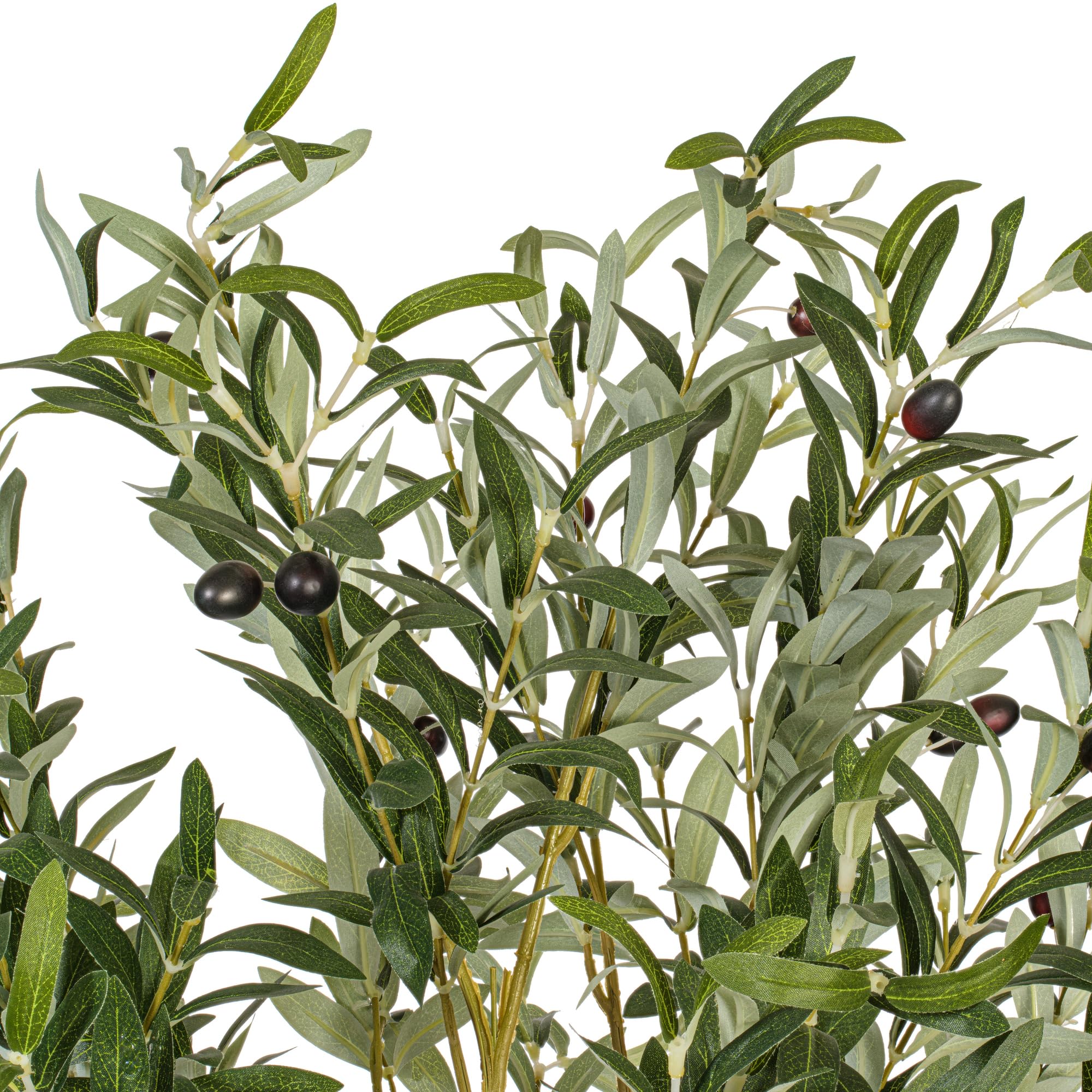 Amazon.com: Vickerman 4' Green Potted Olive Tree