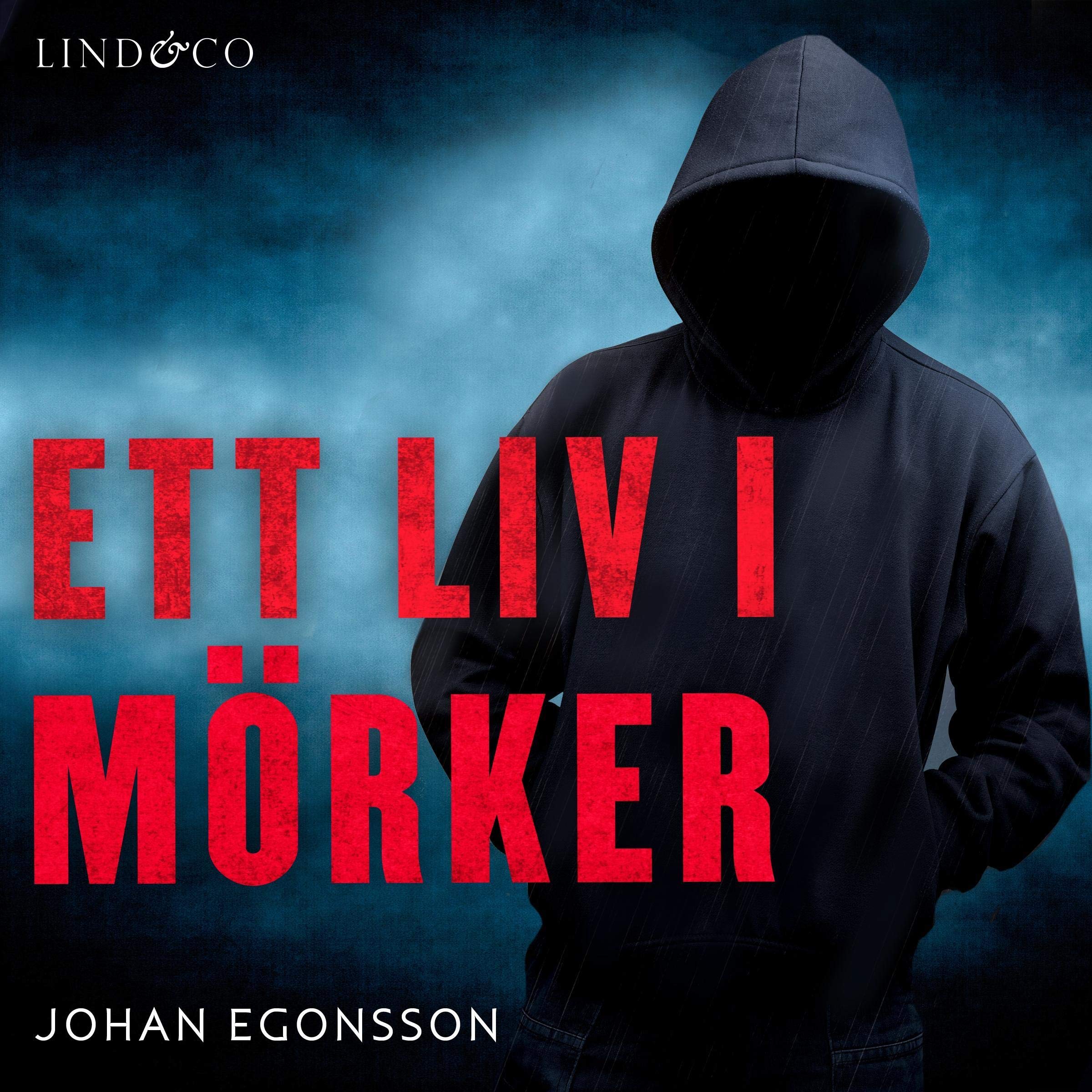 Cover art for Ett liv i mörker