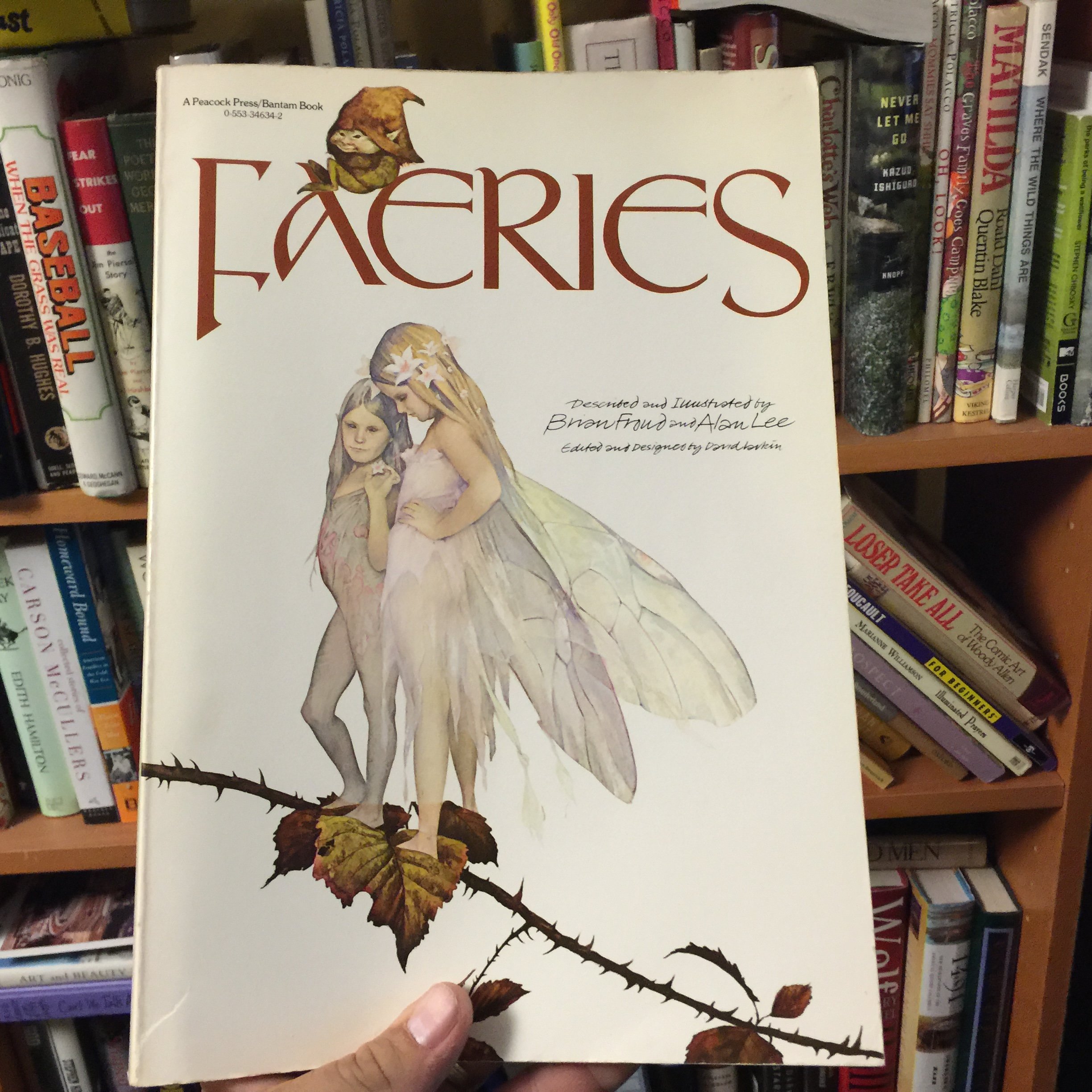 Faeries | Amazon.com.br