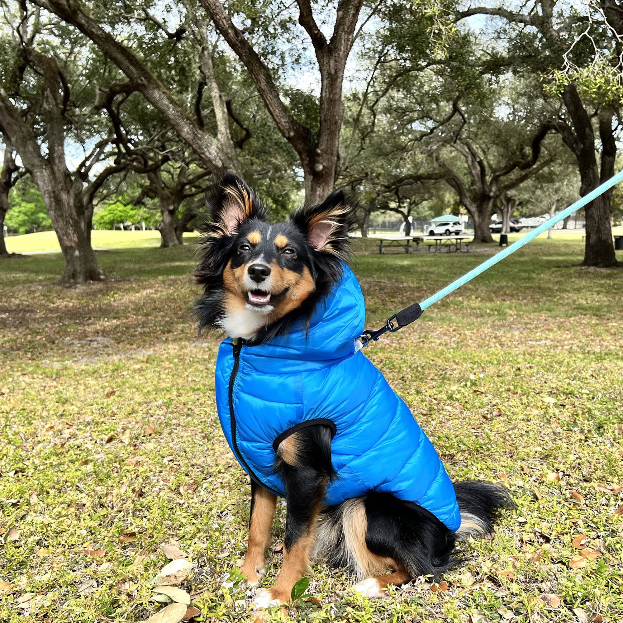 Pawtitas Reversible Dog Puffer Jacket | Water Resistant | Dog Coat for Winter to Keep Your Puppy Warm | Blue/Yellow, XX-Large