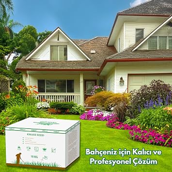 Çok Yıllık Çim Tohumu 10 Kg Uzun Ömürlü 6'lı Karışım Gölge ve Aşırı Güneşli Alan İçin Uygun Yetiştirilmesi Kolay 4 Mevsim Yeşil