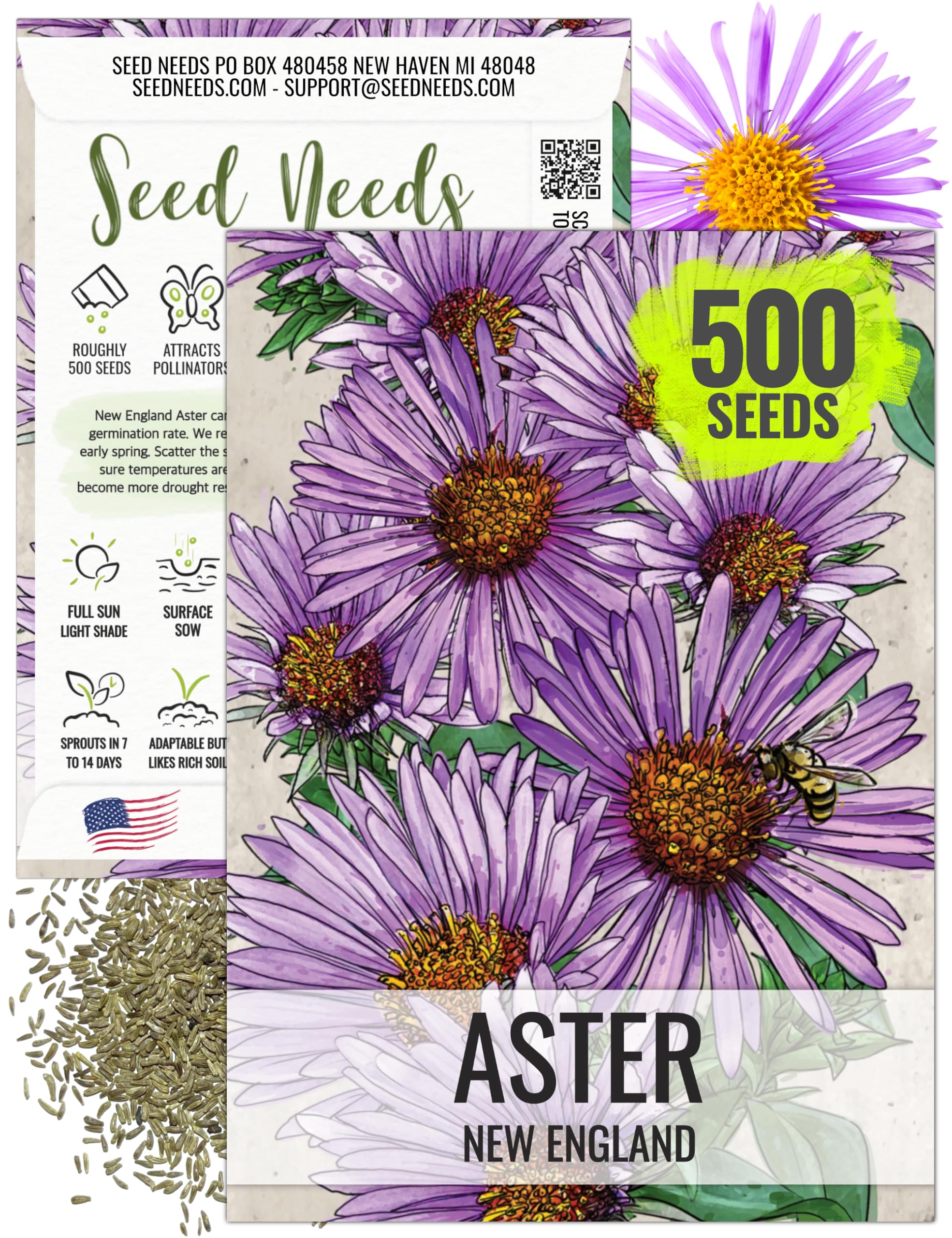 Seed Needs New England Aster Seeds for Planting - Heirloom & Open Pollinated Wildflower to Plant & Grow a Butterfly Garden to Attract Pollinators - Violet Pink Flowers (1 Pack)