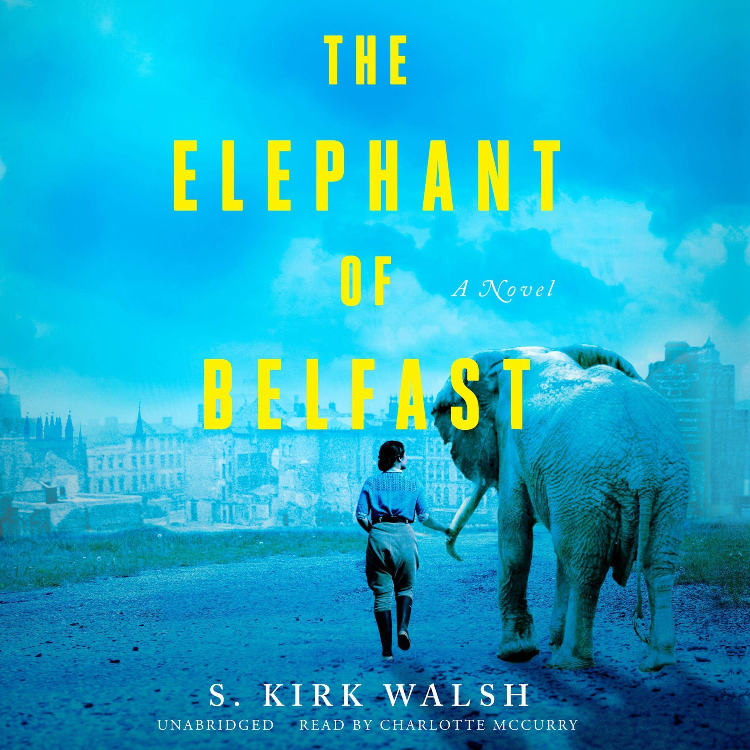 Cover art for The Elephant of Belfast