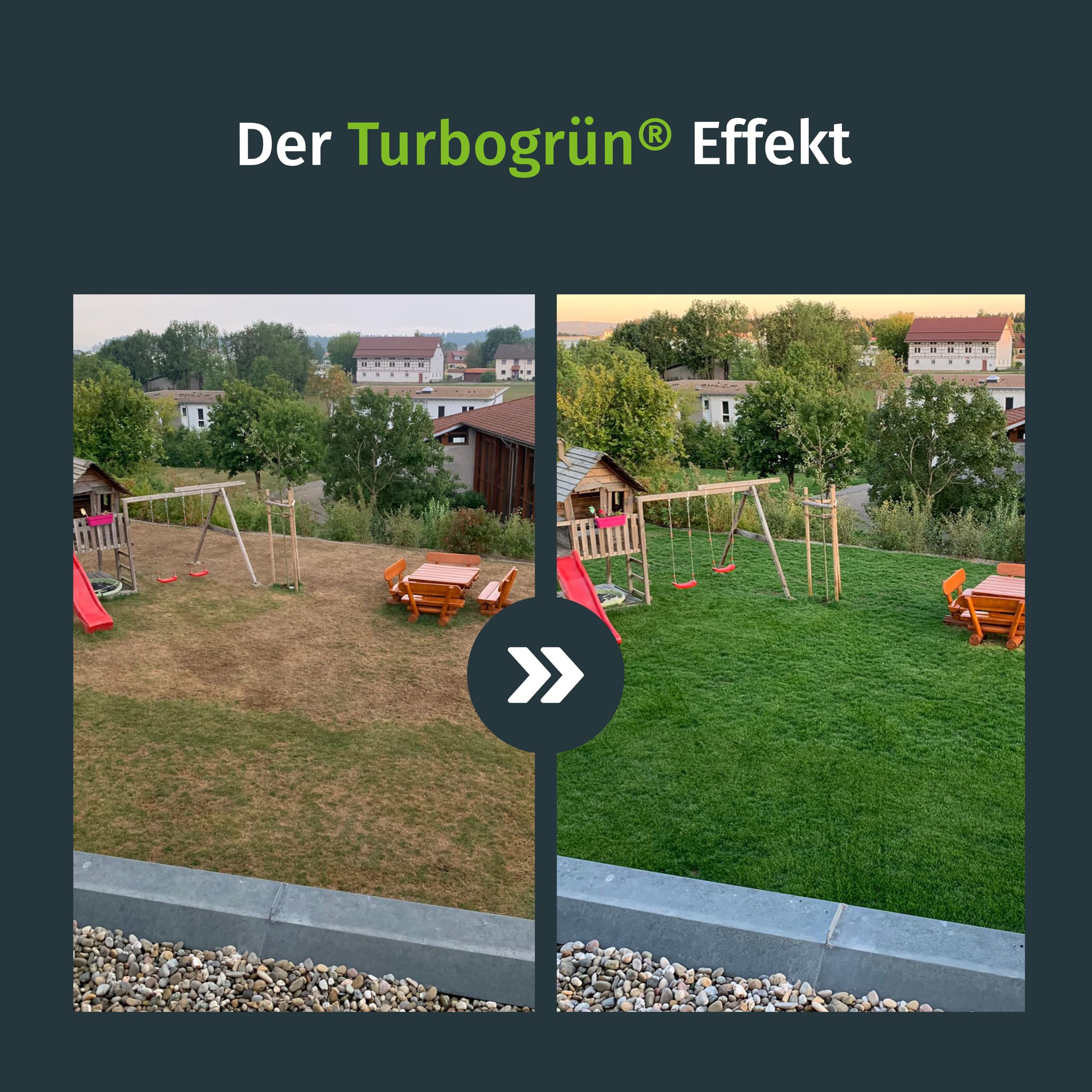 Trockenrasen, Rasensamen, 5kg für 165m², Trockenrasen Samen, Grassamen, Ideal zur Neuanlage, Für sonnig Standorte, Rasensaat, Nachsaat, RSM Qualität, Turbogrün