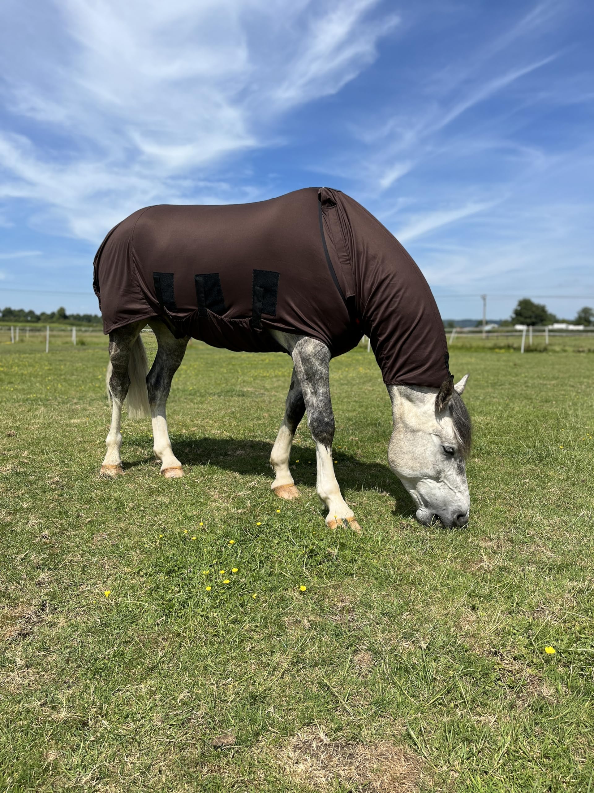 Snuggy Hoods Ekzemerdecke mit Halsteil für Pferd & Pony | Bauchschutz | Fliegendecke mit Halsteil, vollem Bauchschutz und XL-Schweifschutz. Schützt vor Insekten. 3 Farben, 11 Größen.