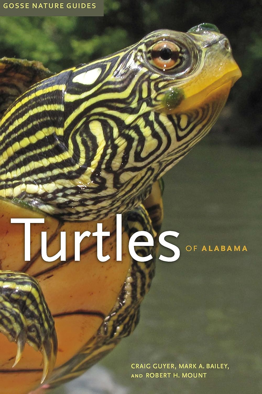 Turtles of Alabama (Gosse Nature Guides Book 5) (Volume 5)