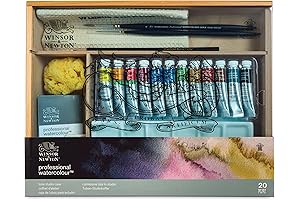 Winsor & Newton Professional Watercolor Travel Case Set: A Premium Art Companion for On-the-Go Artists