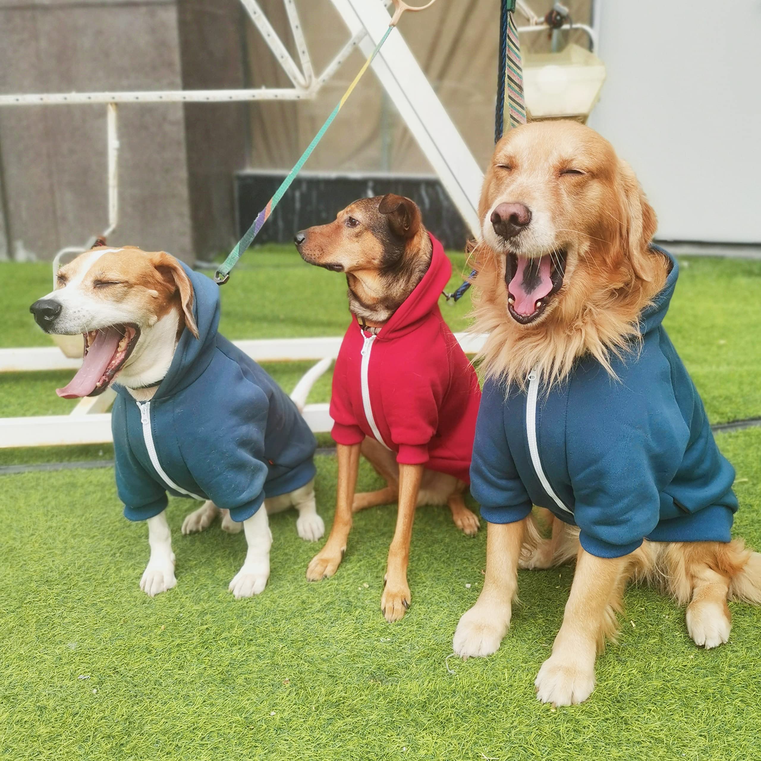 Denim Jacket Reddy Petco Dog Jackets Long John Dog Pyjamas Blue