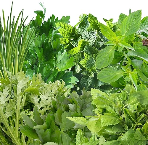 Miniatura 35 de AeroGarden - Kit de semillas.