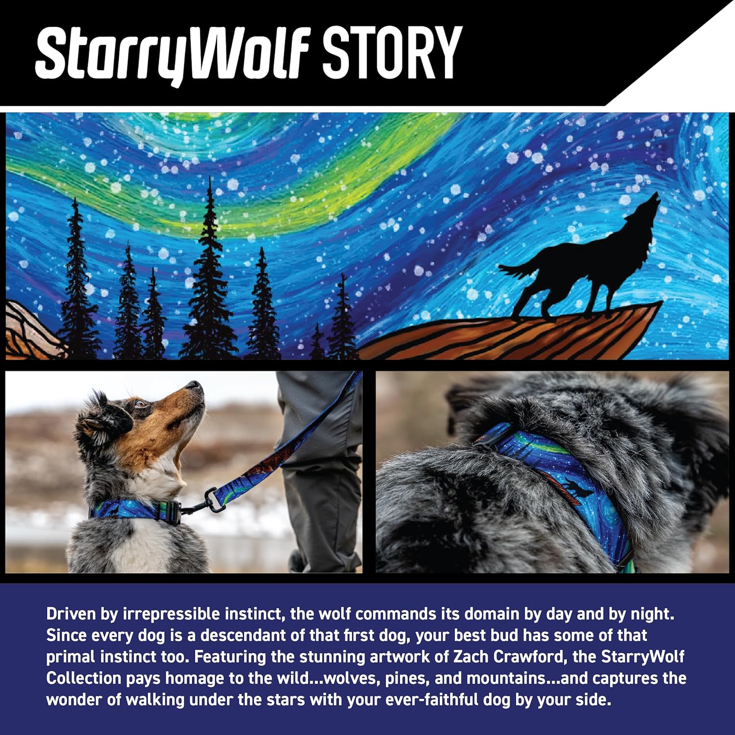 Wolfgang Heavy Duty, Adjustable Wide Venture Dog Collar with Quick Release Nylon Buckle for Walking & Training, StarryWolf Print, Medium