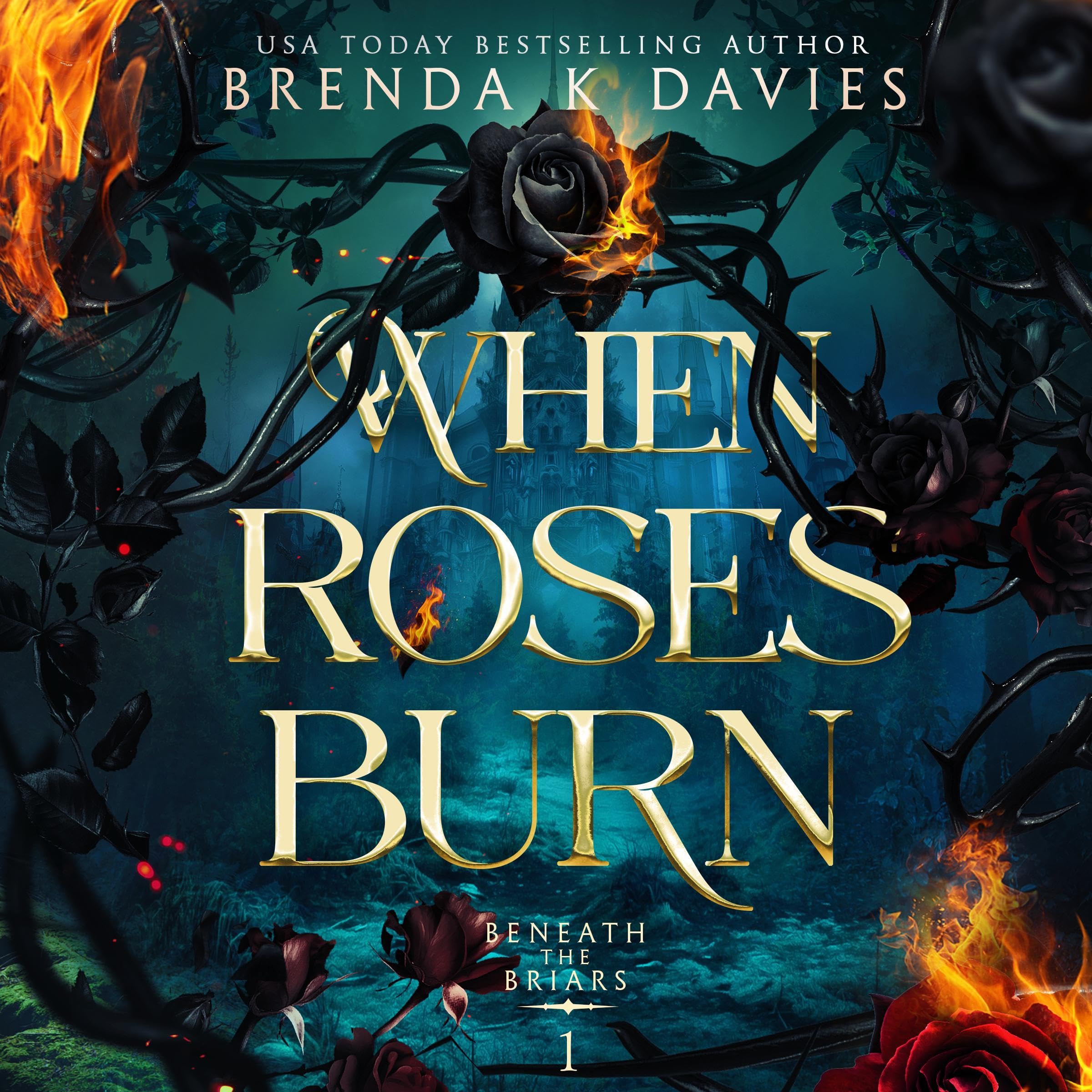 Cover art for When Roses Burn