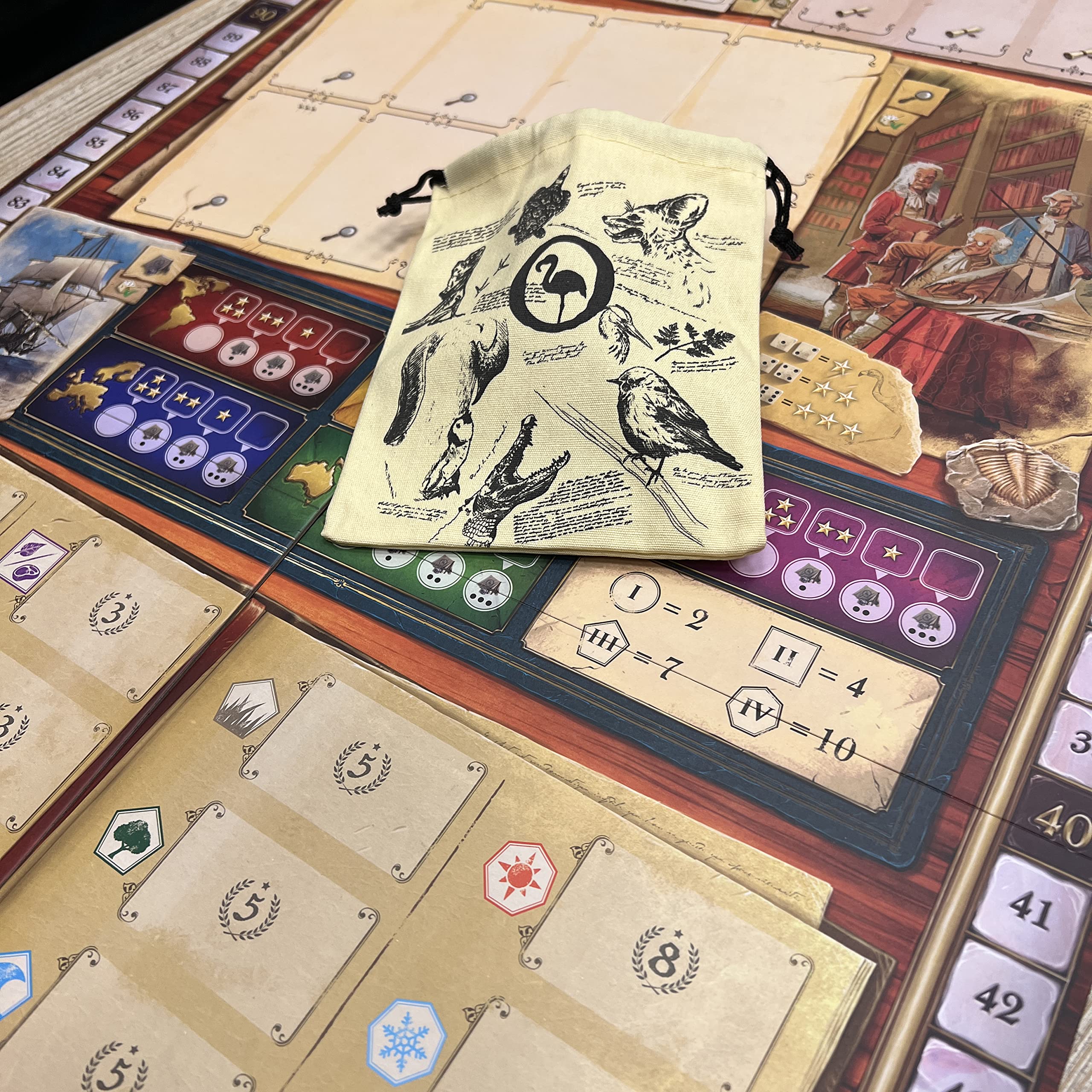Asmodee - Encyclopedia - Gioco da Tavolo, 2-4 Giocatori, 14+ Anni, Edizione in Italiano