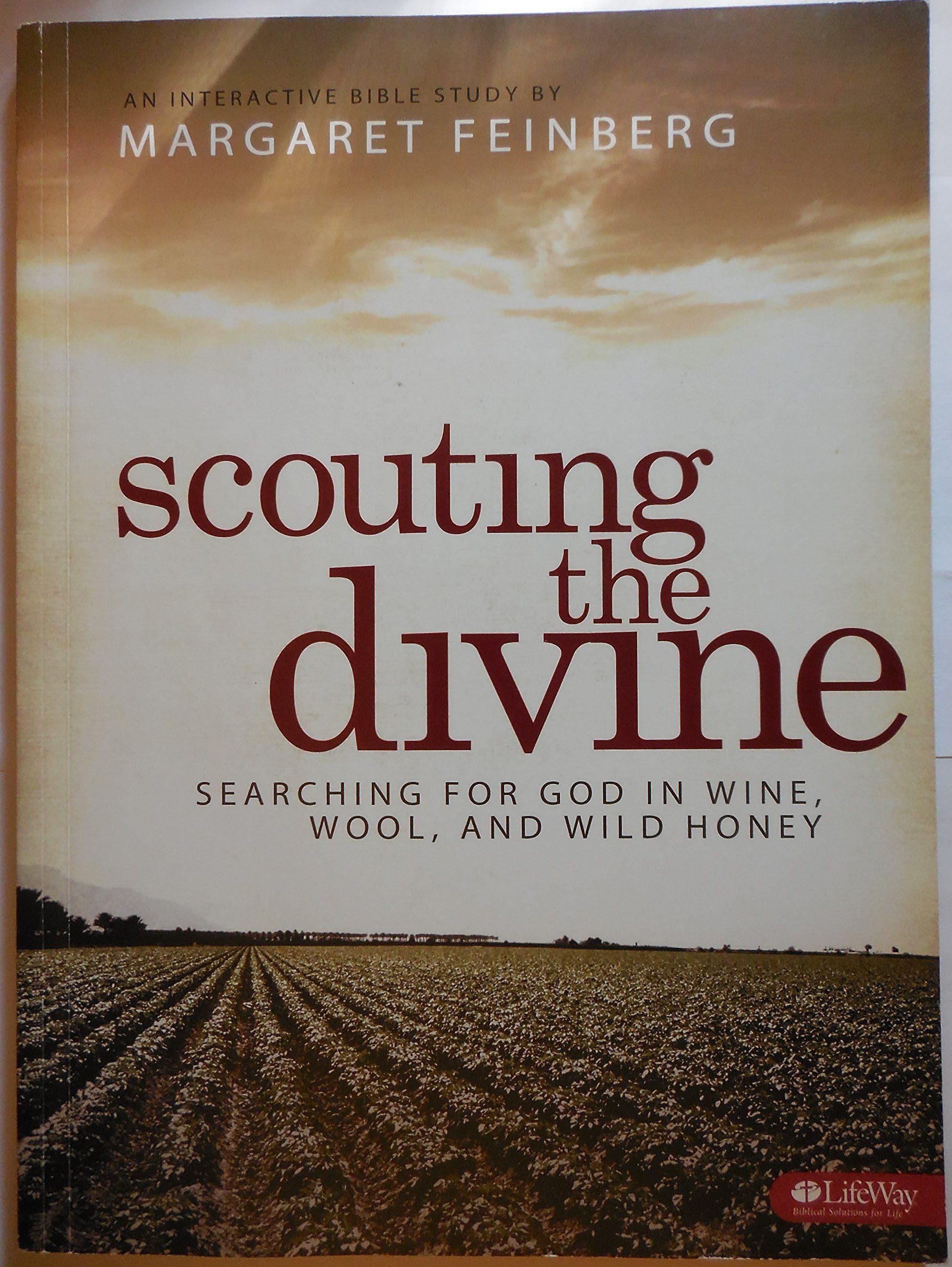 Scouting the Divine Workbook: Searching for God in Wine, Wool and Wild Honey