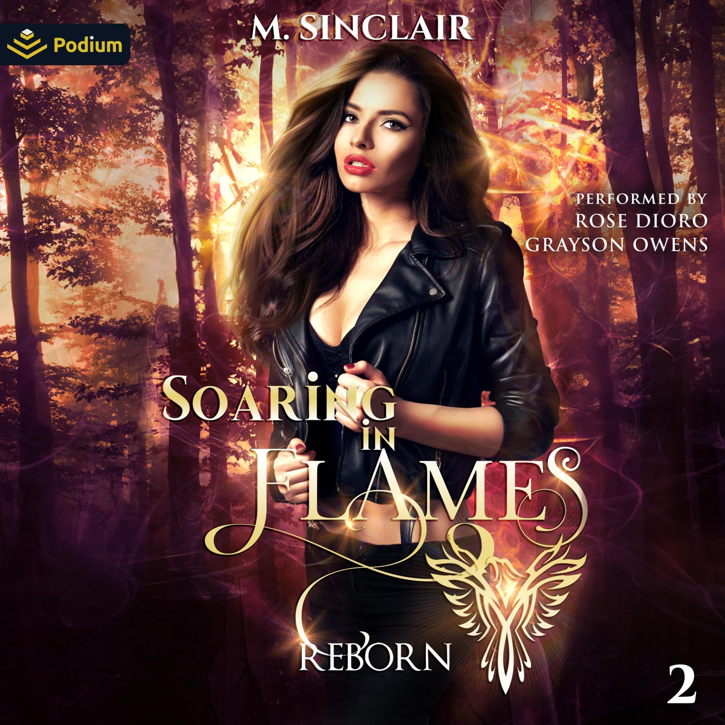 Cover art for Soaring in Flames