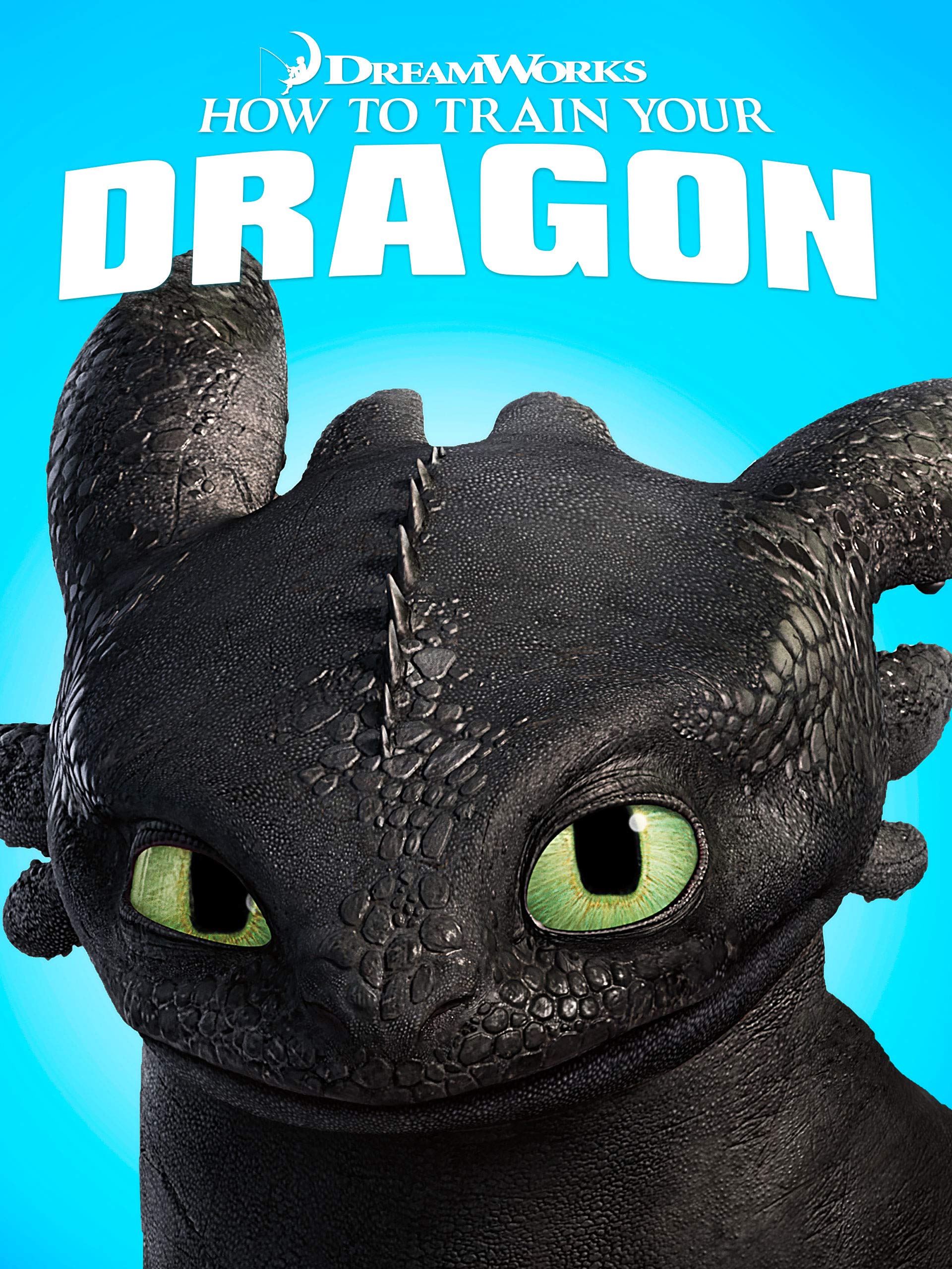 How to Train Your Dragon