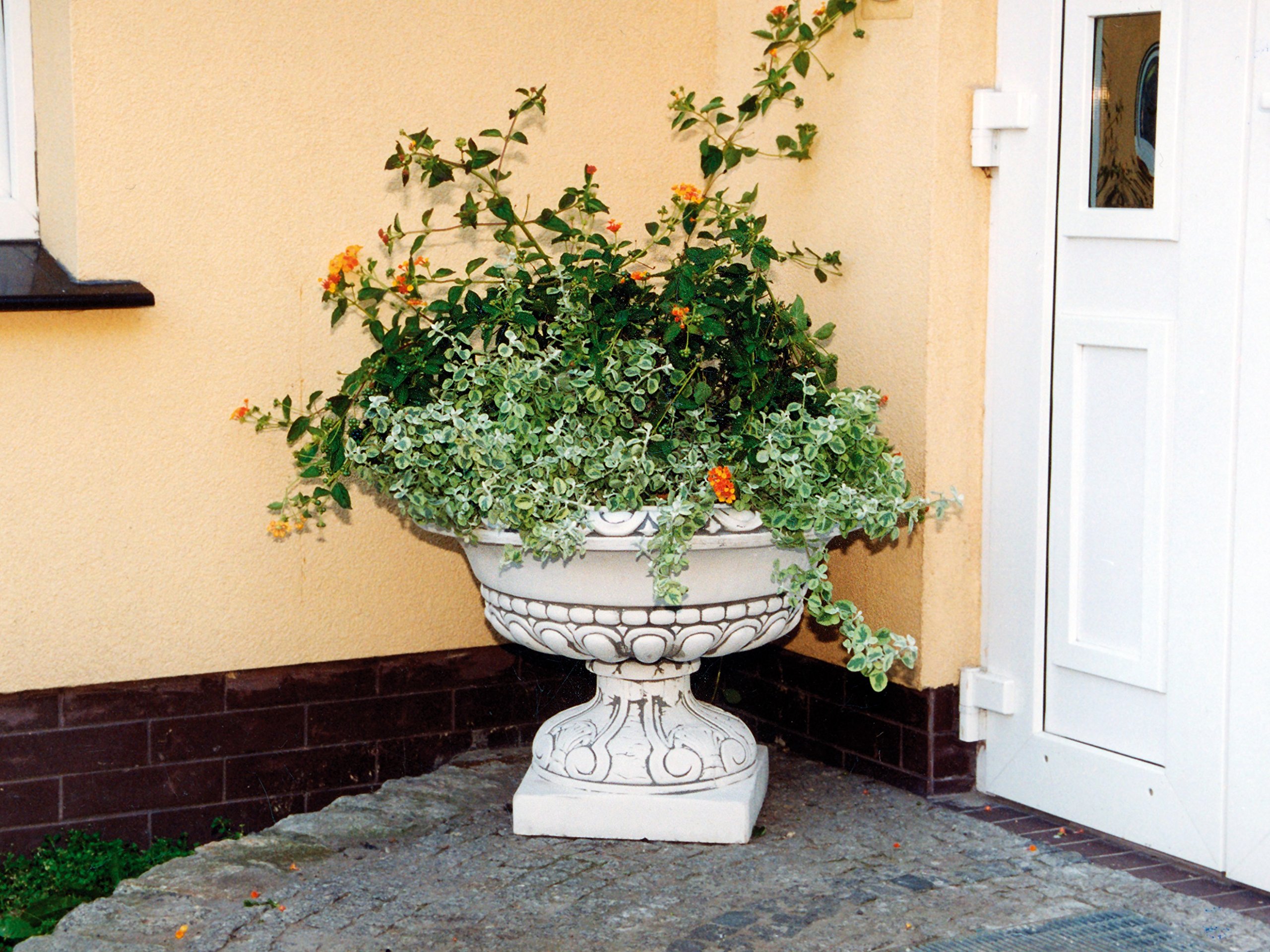 gartendekoparadies.de Grand Pot de Fleur Massif vasque pour Plantes en Pierre reconstituée, résistant au Gel