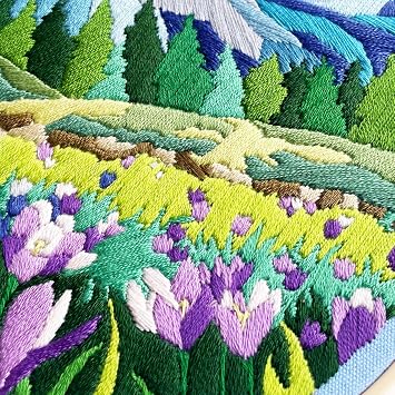 Myfelicity Embroidery kit, 3 Sets of Landscape Pattern Embroidery Materials, Including Patterned Embroidery Cloth, Embroidery Thread, Needle and Hoop Tools