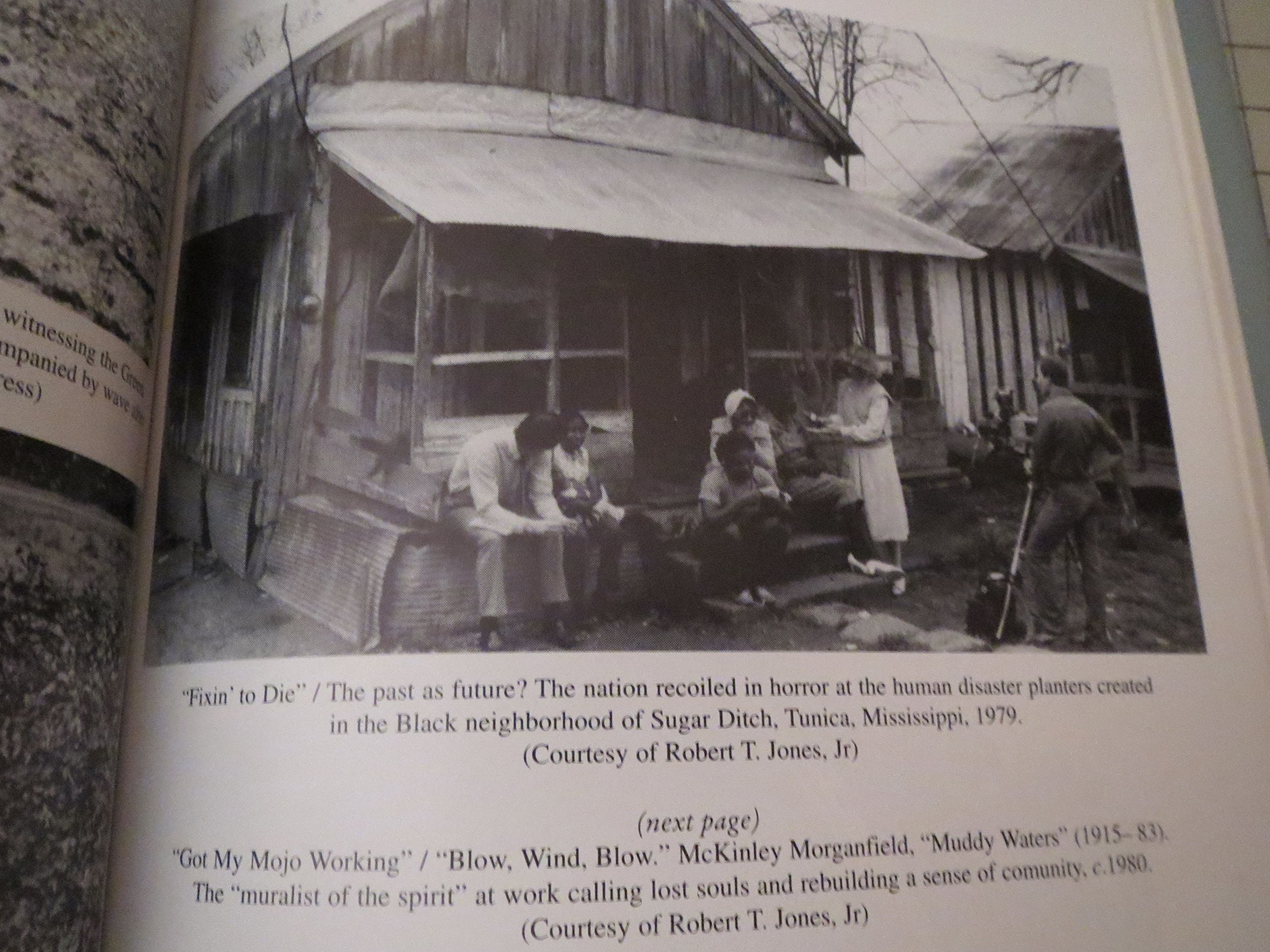 Development Arrested: The Blues and Plantation Power in the Mississippi Delta (Haymarket)