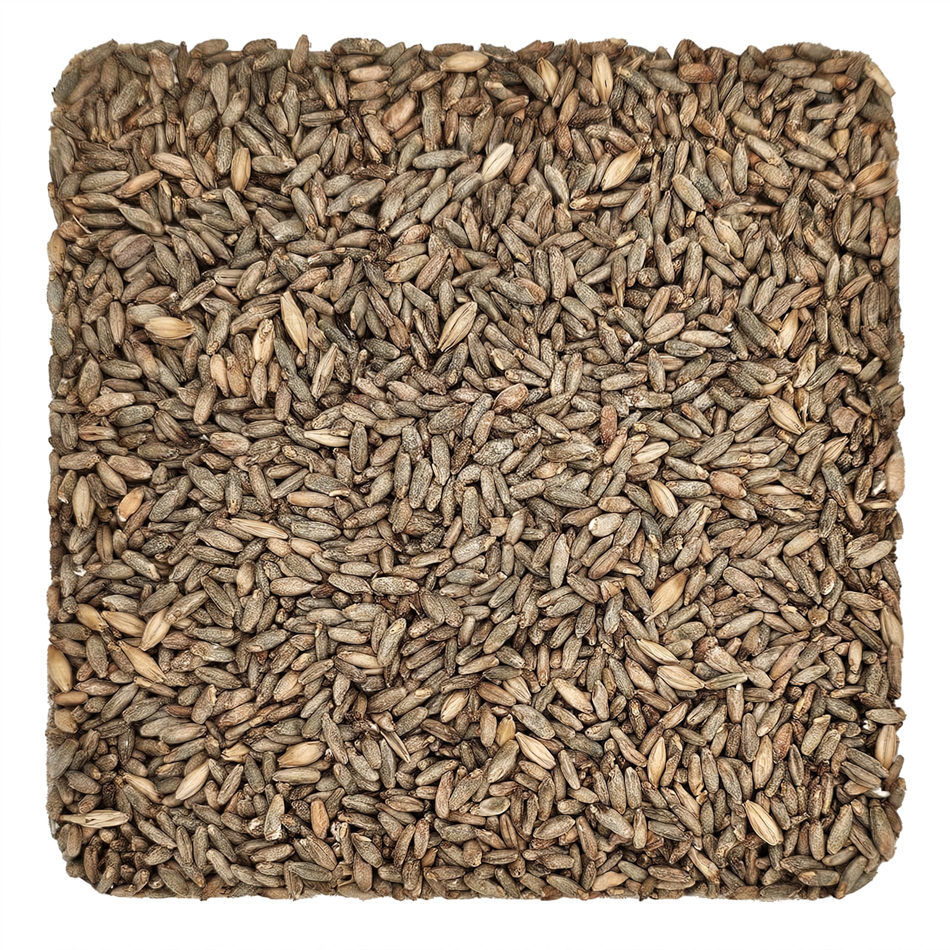 BriessRye Malt (5 Lb)