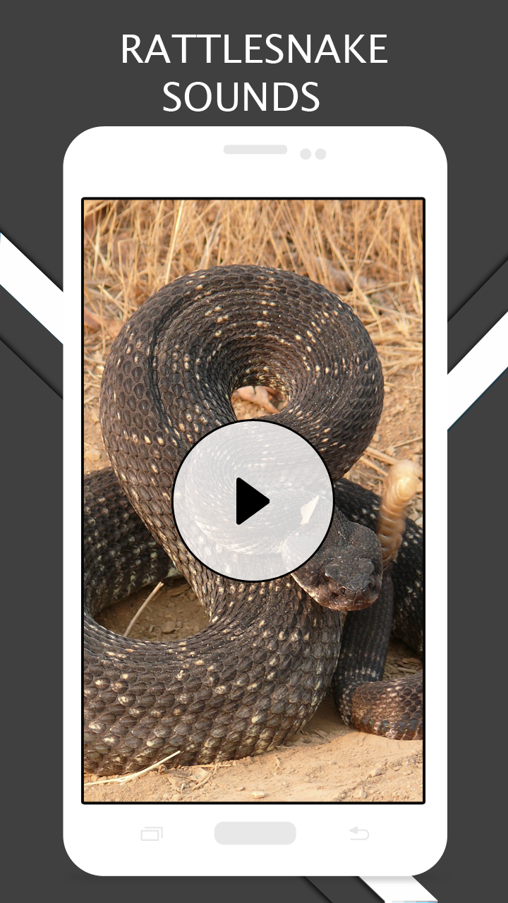 Rattlesnake Sounds And Ringtones App on Amazon Appstore