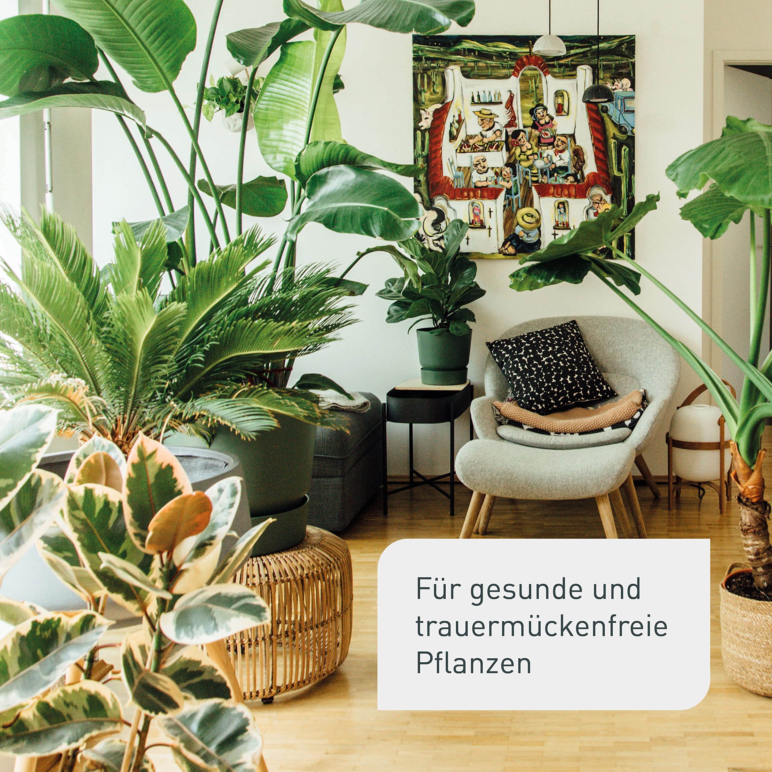 Plantura Bio-Trauermückenfrei Neem, hochwirksames Gießmittel gegen Trauermücken aus Neem, 75 ml für ca. 30 Pflanzen